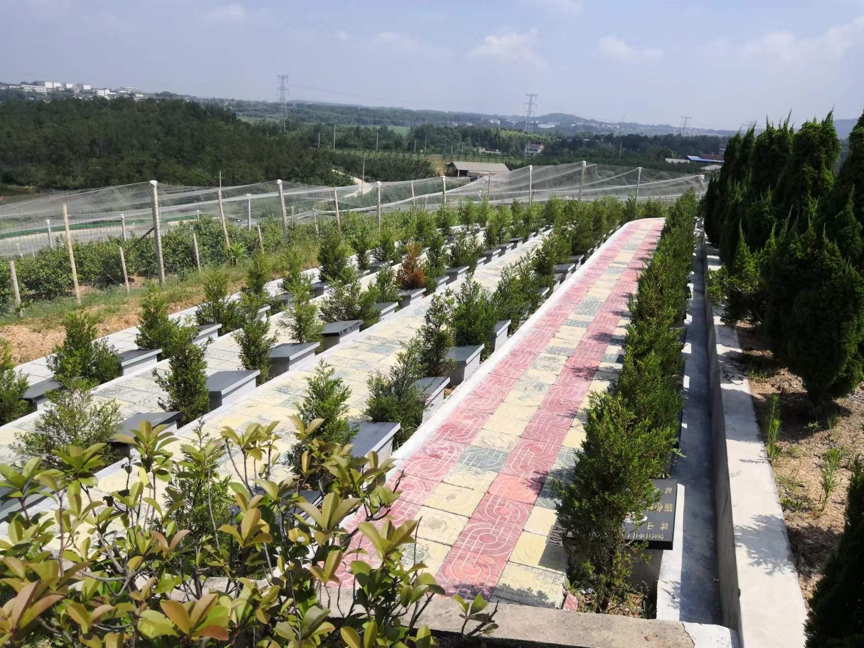 怀宁县清河乡公益性公墓园区图片