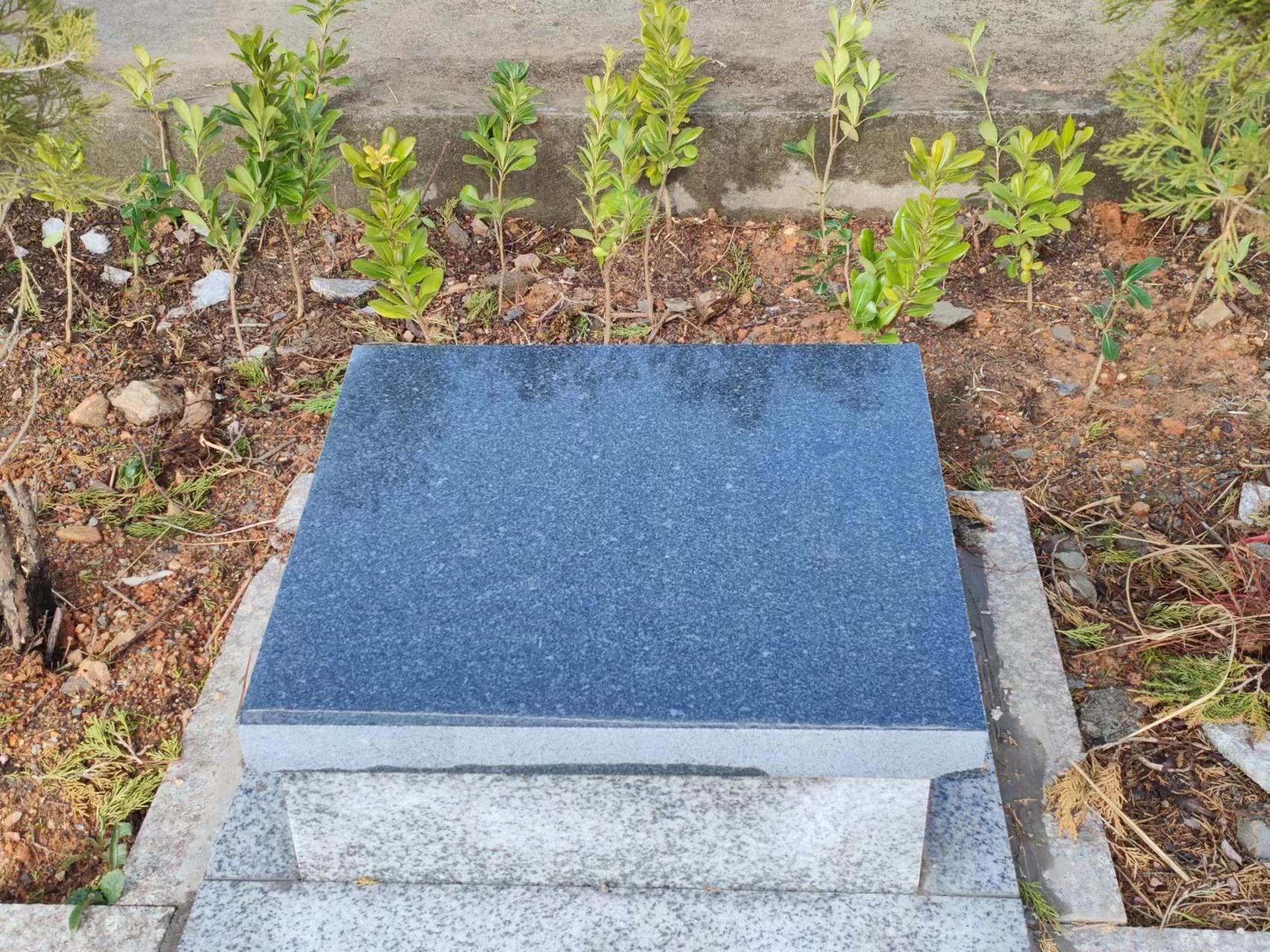 宿松县九姑乡公益性公墓园区图片