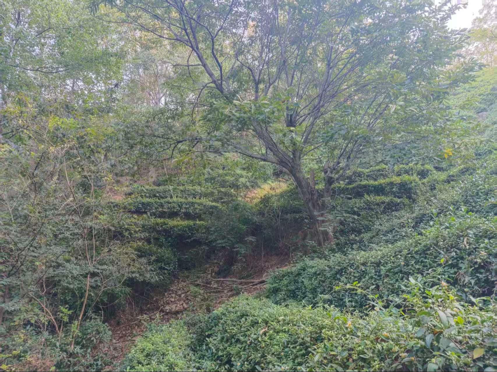 潜山市龙潭乡公益性公墓