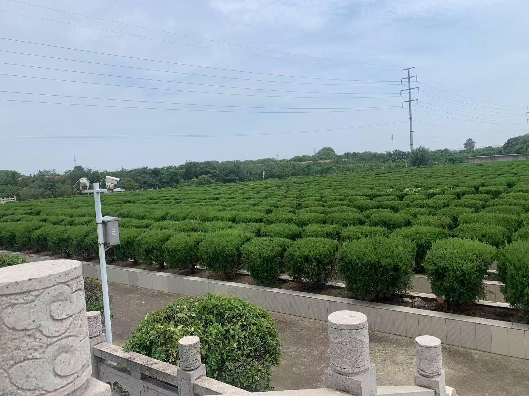 青阳镇桐岐纪念堂园区图片