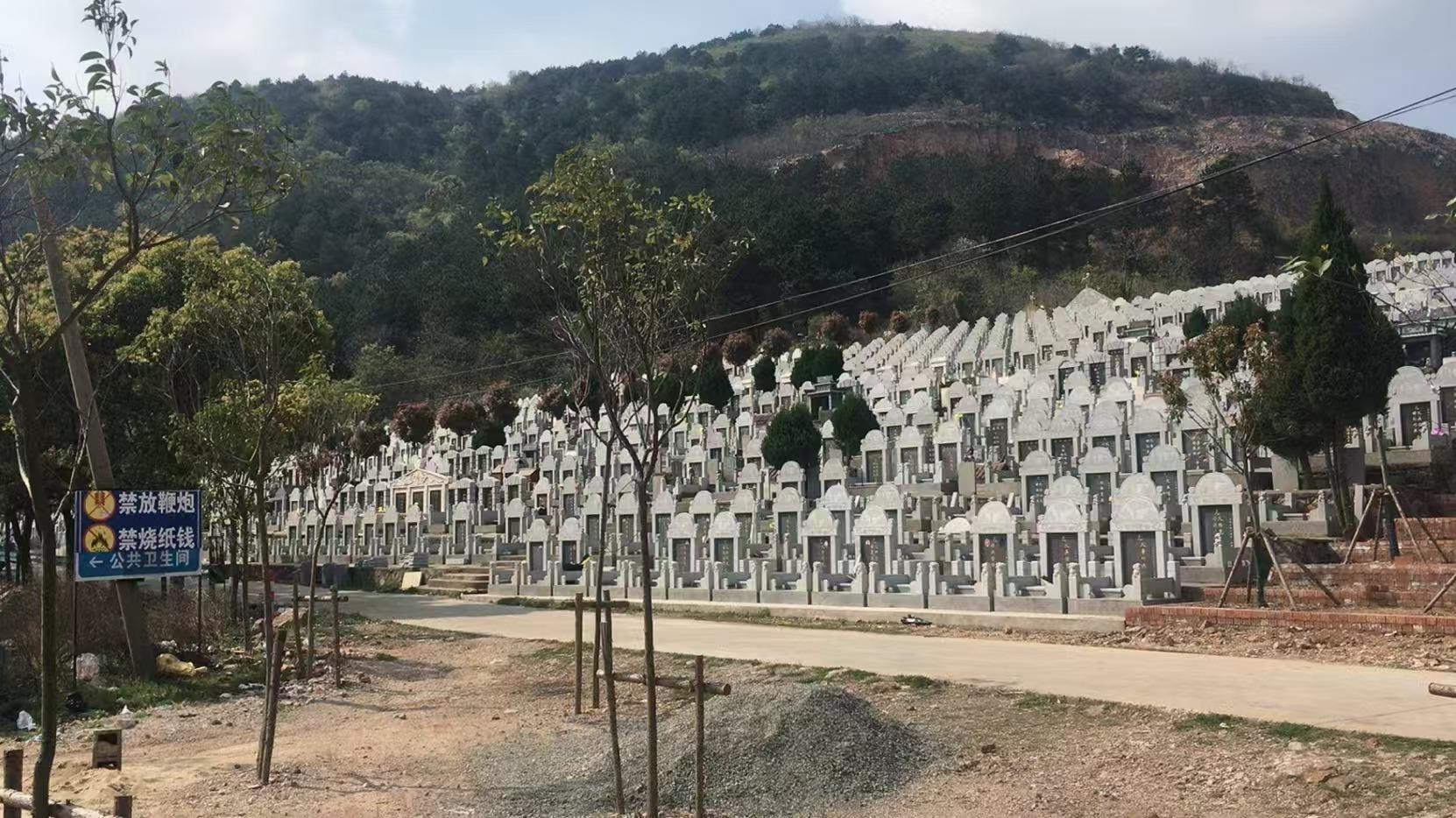 白云公墓园区图片