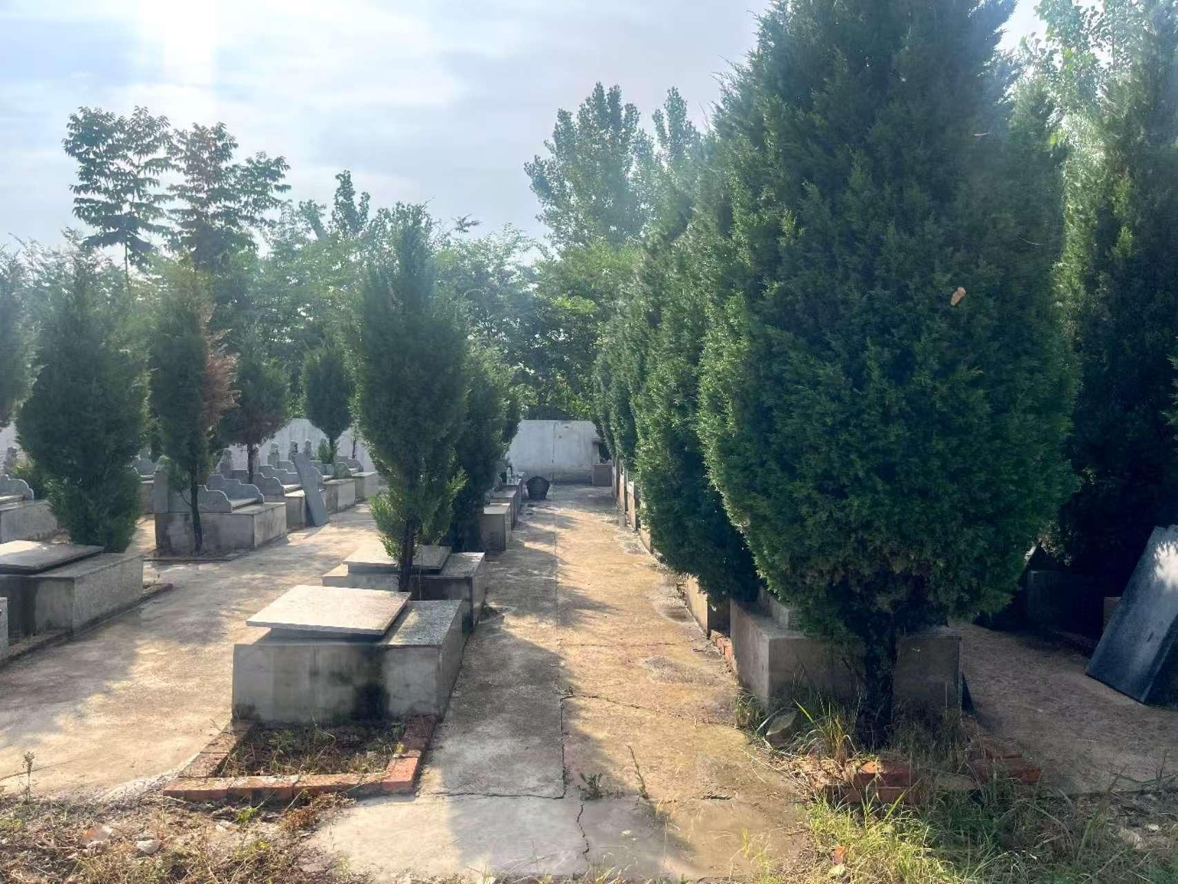 淝河镇公益性公墓园区图片