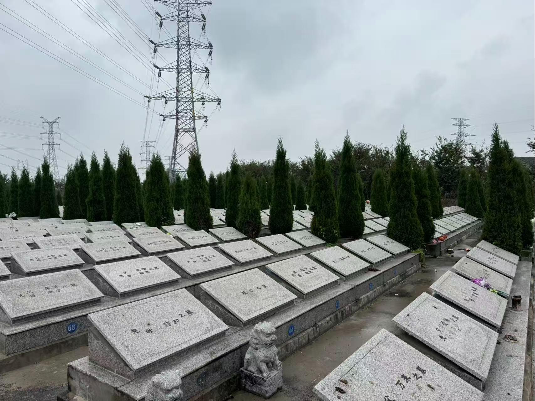 溱潼镇甸址村兴泰公墓
