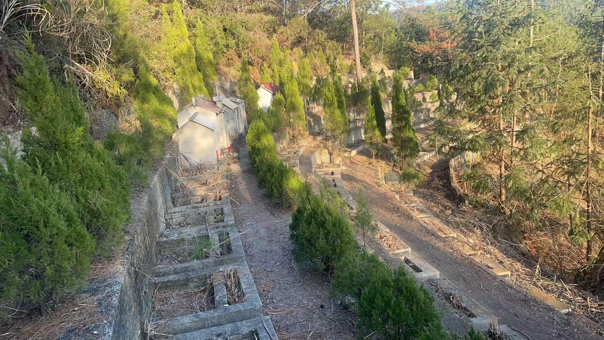 陈汉乡独山村公益性公墓园区图片