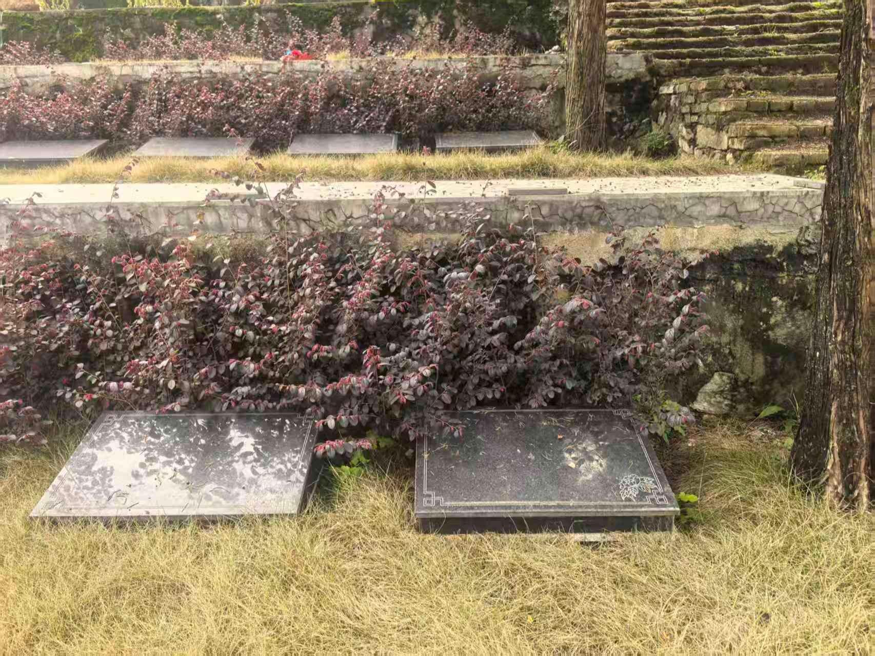 通山县东牛山公益性公墓园区图片