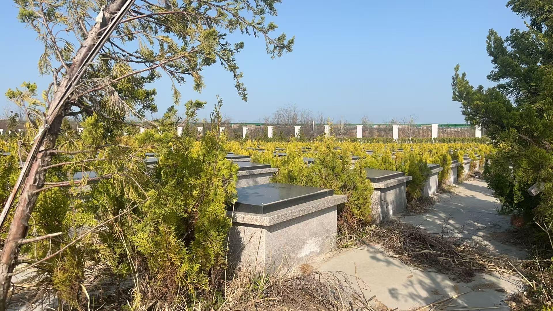 刘圩镇四山村公益性公墓园区图片