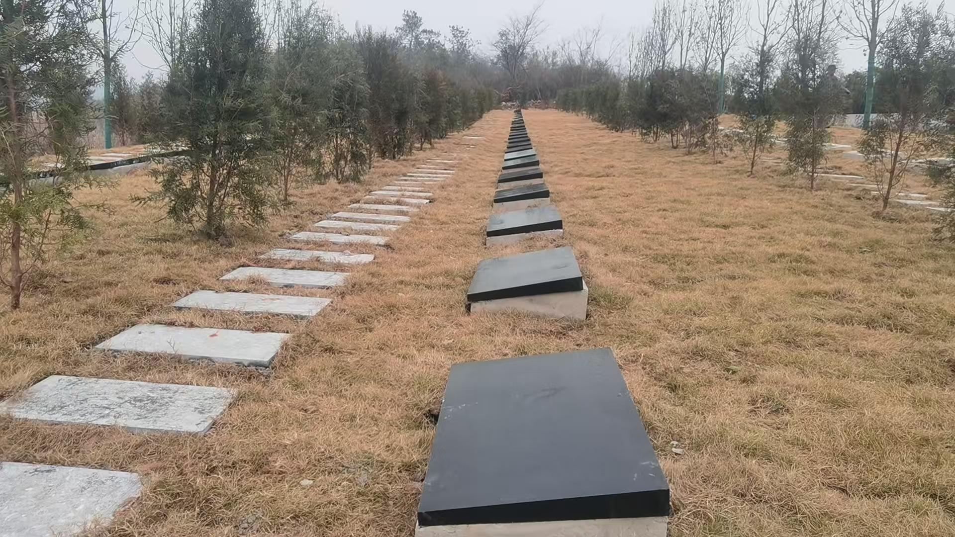 分乡镇分乡场社区公益性公墓园区图片