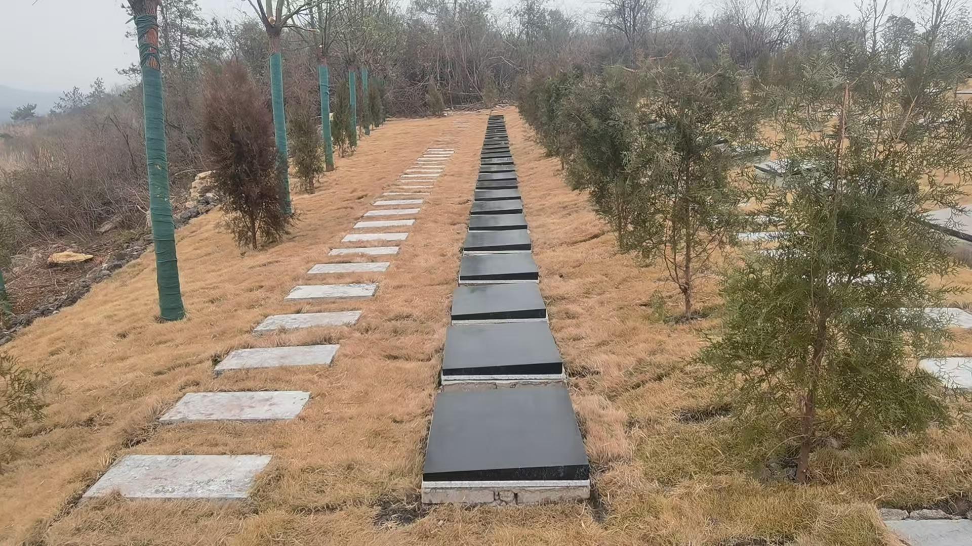 分乡镇分乡场社区公益性公墓