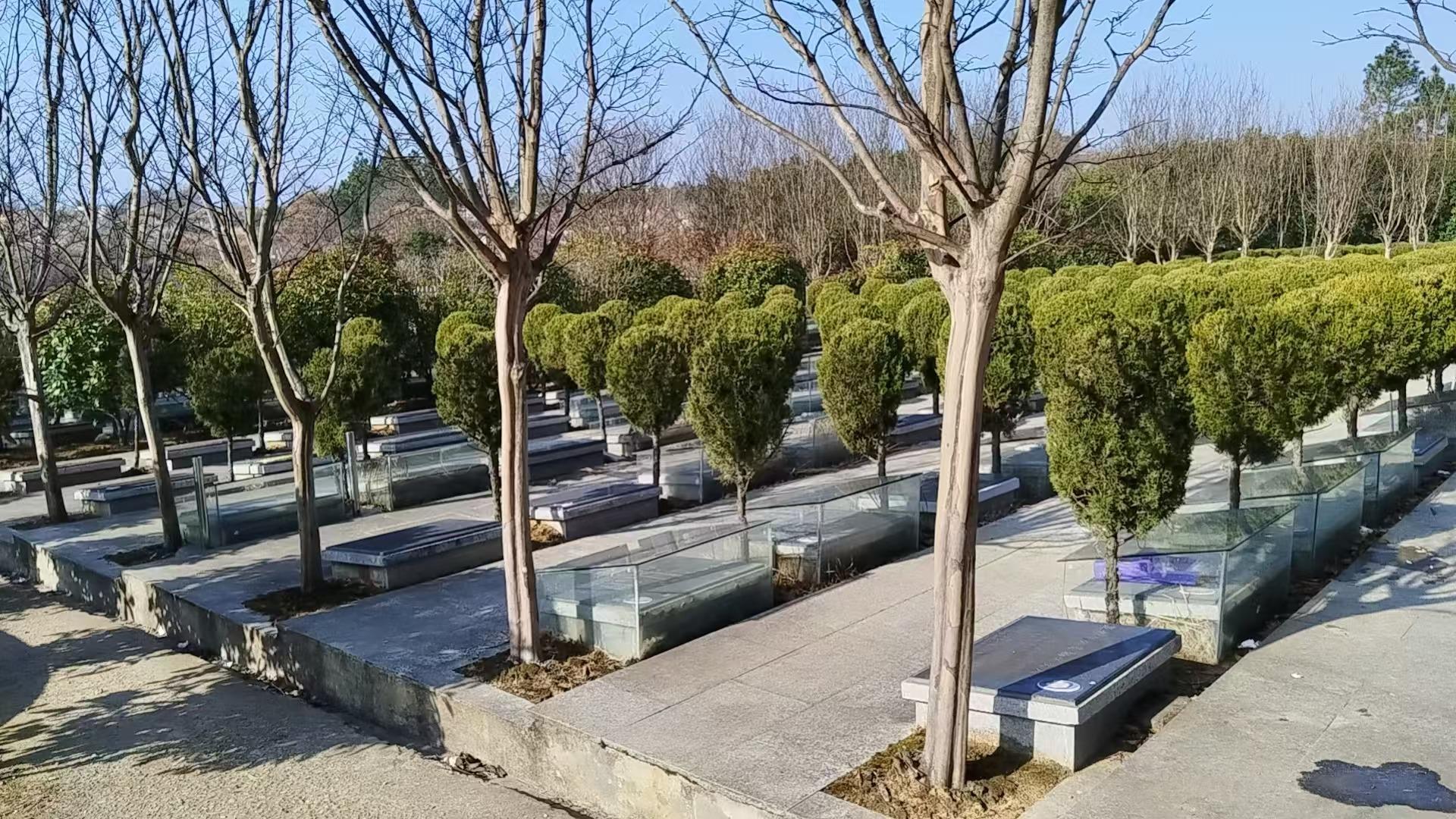 桐城市新渡镇公益性公墓园区图片