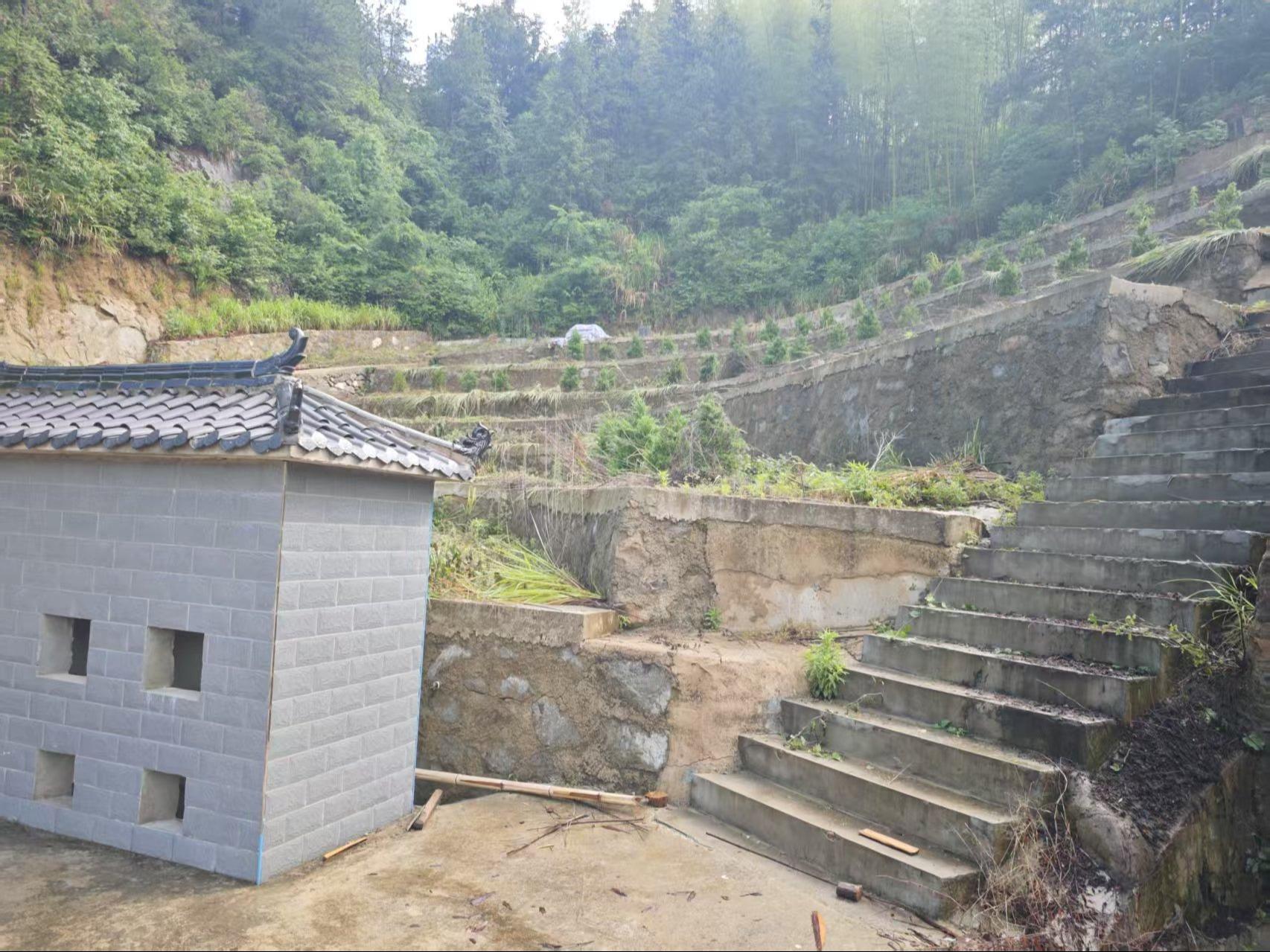 田头乡丁山公益性公墓园区图片