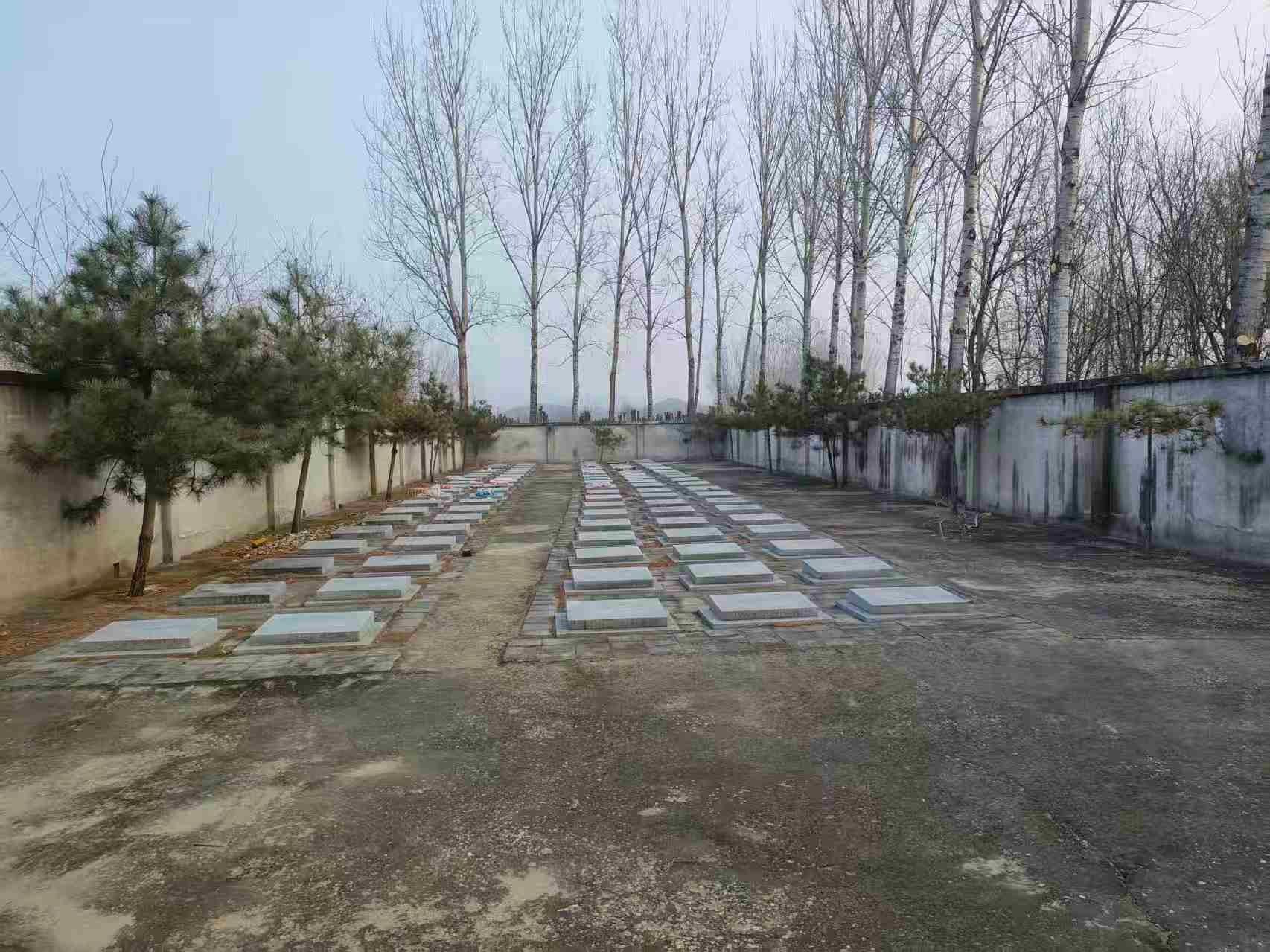 顺义区张镇白辛庄村公益性公墓园区图片