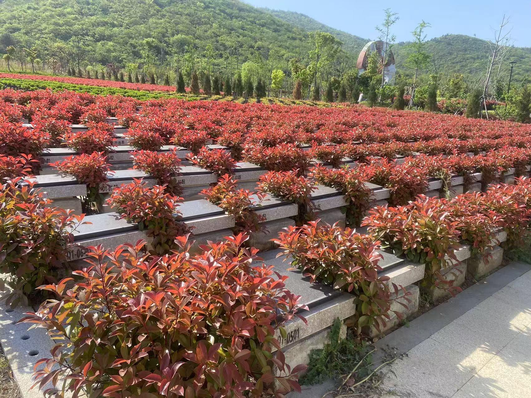 巢湖市万山文化陵园园区图片
