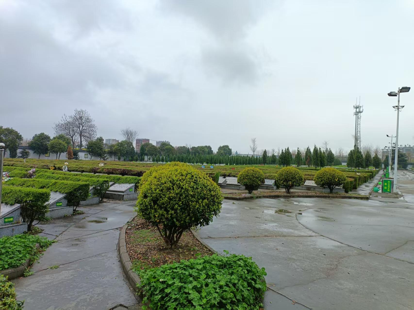 三水街道永泰园园区图片