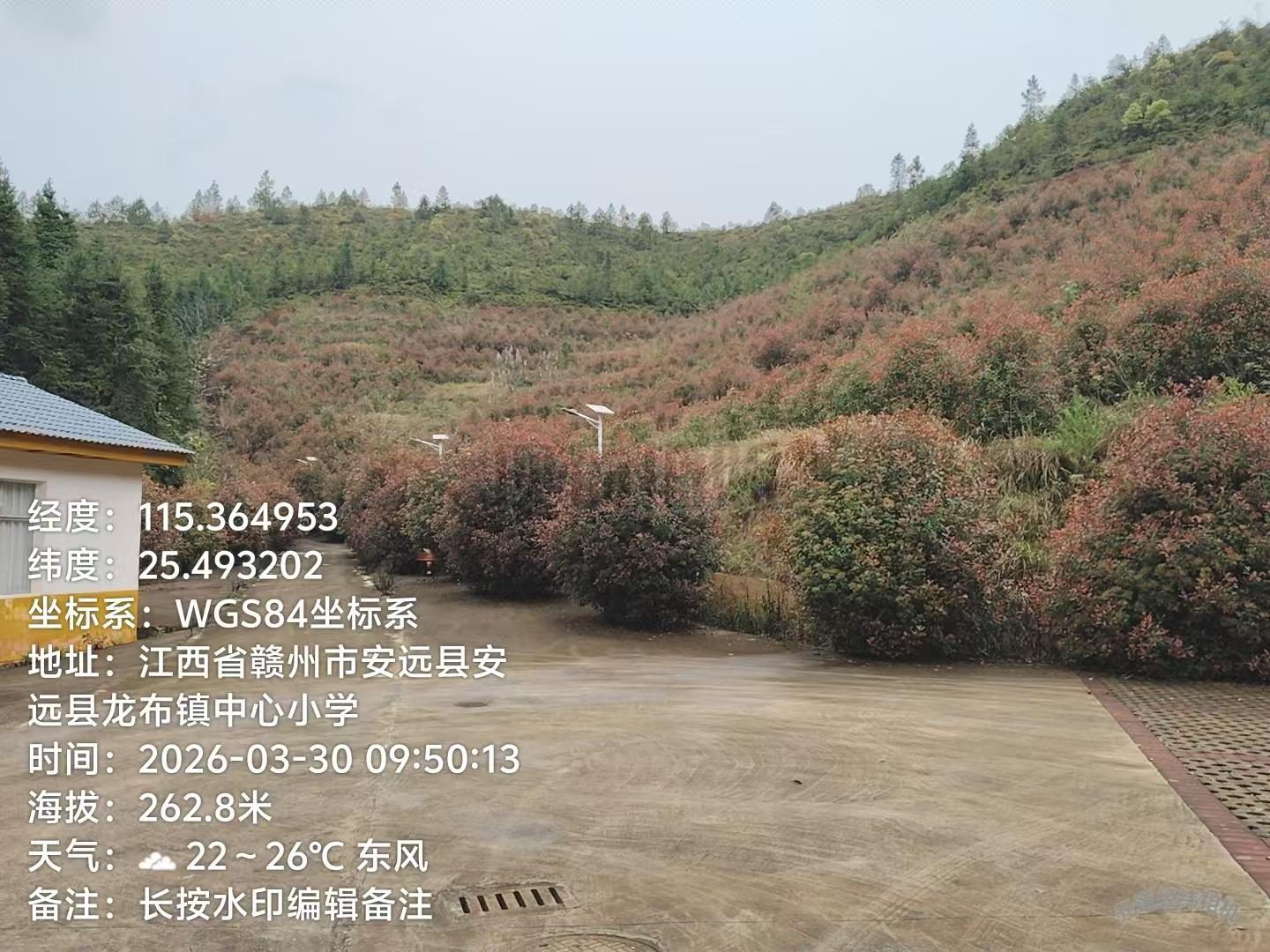 安远龙布镇公益性公墓园区图片