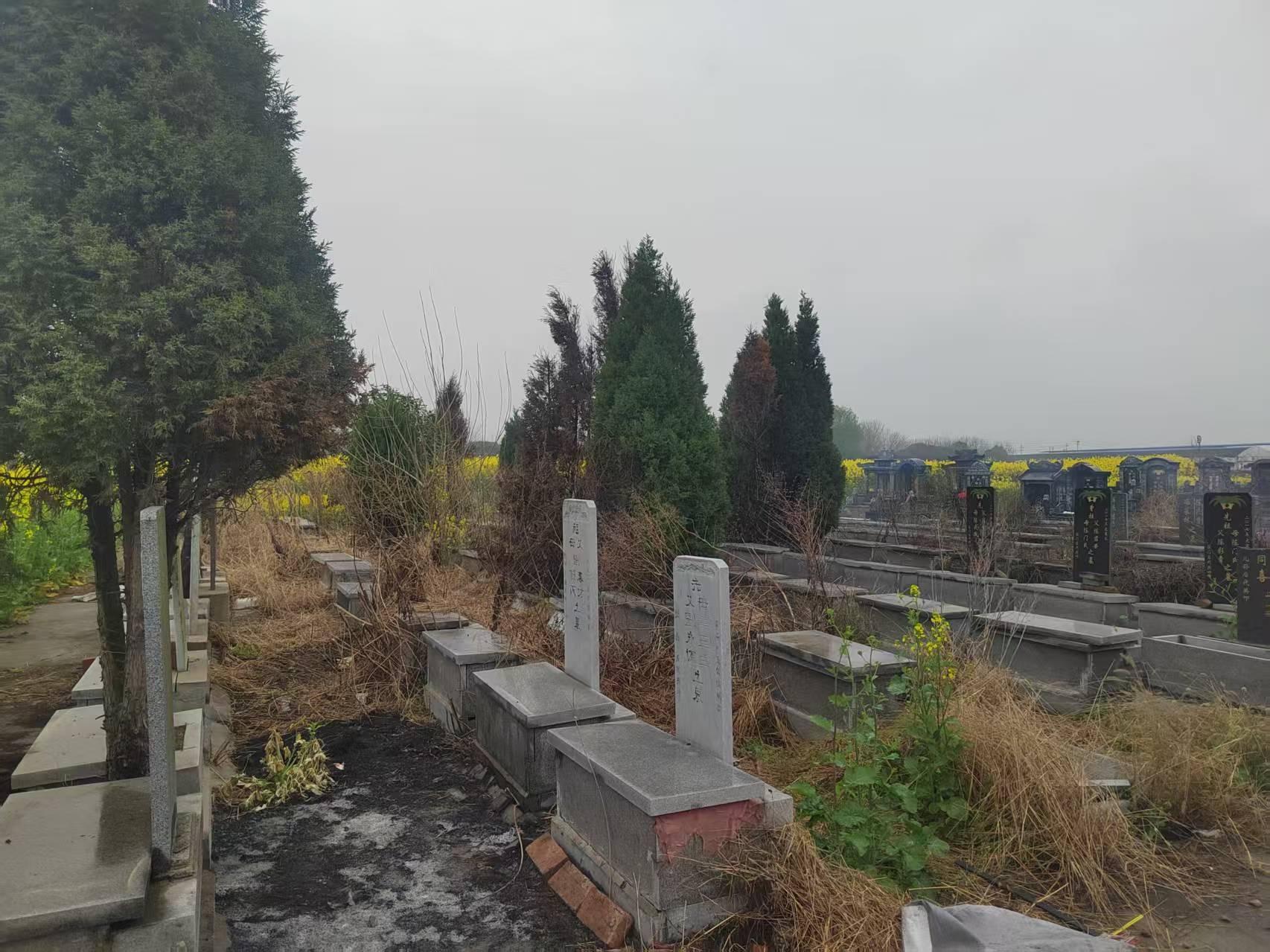 竹泓镇公益性公墓松鹤园墓区园区图片