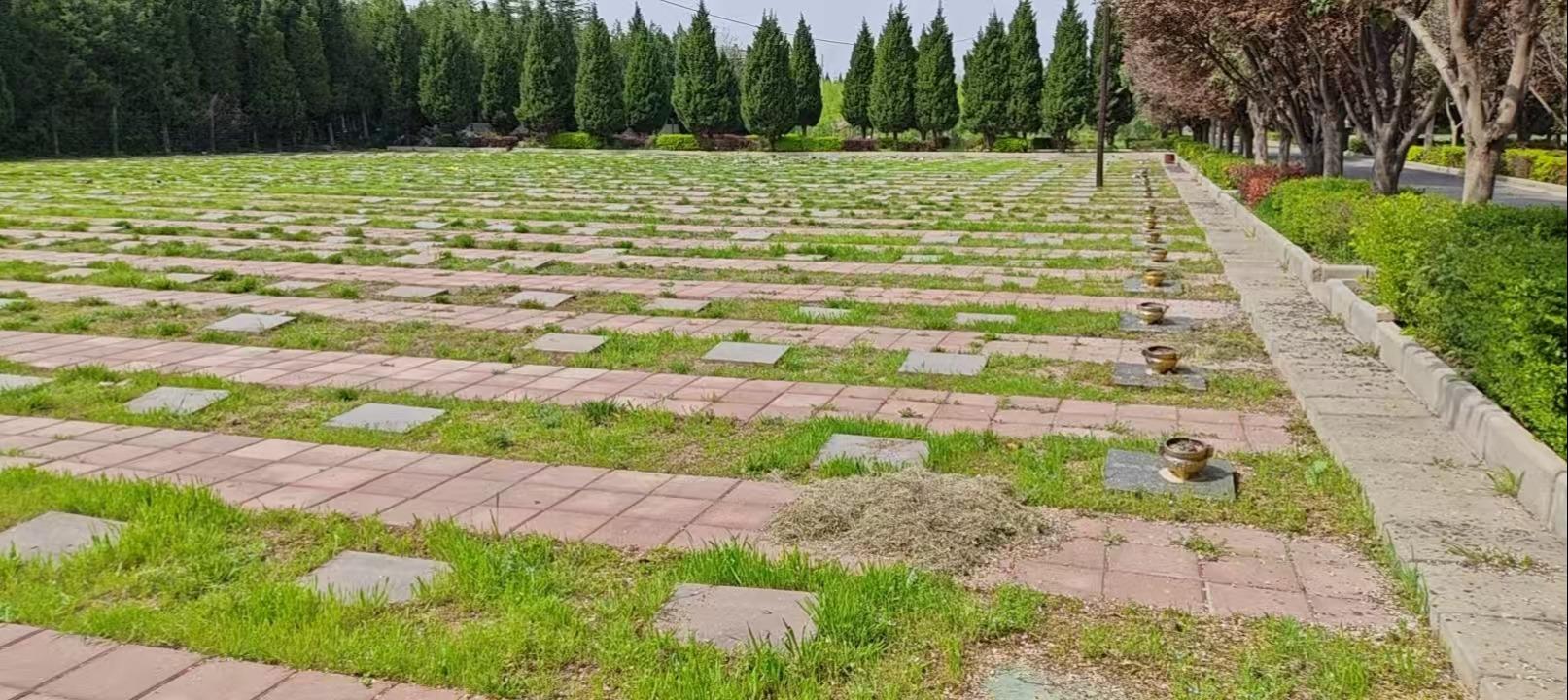 西安市阎良区殡葬管理所(西安市阎良荆山公益墓园管理所)园区图片