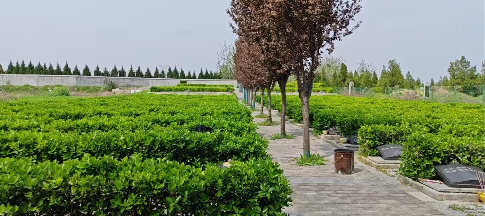 西安市阎良区殡葬管理所(西安市阎良荆山公益墓园管理所)园区图片
