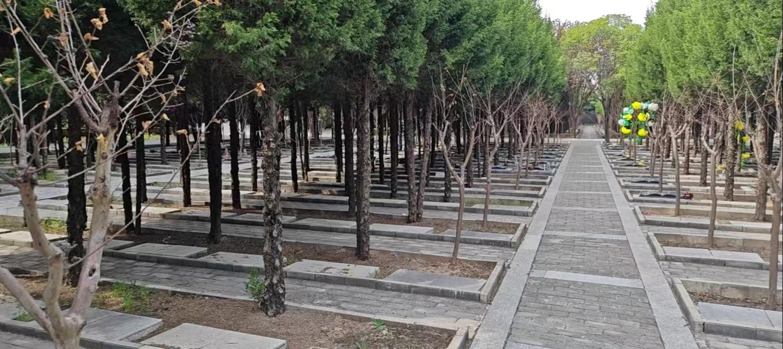 西安市阎良区殡葬管理所(西安市阎良荆山公益墓园管理所)园区图片