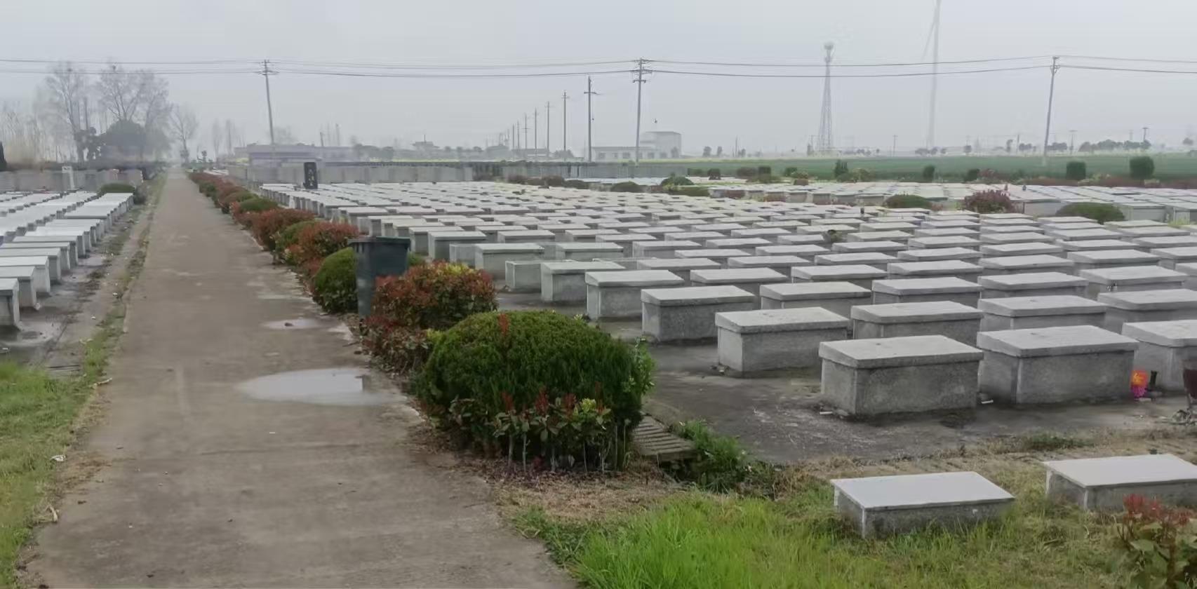 高邮市甘垛镇中心墓园园区图片