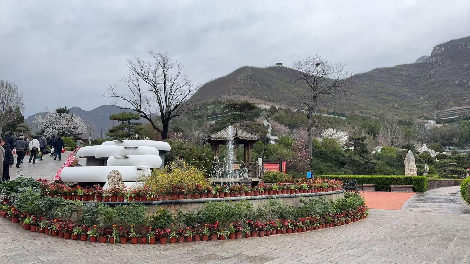 桃峰公墓园区图片