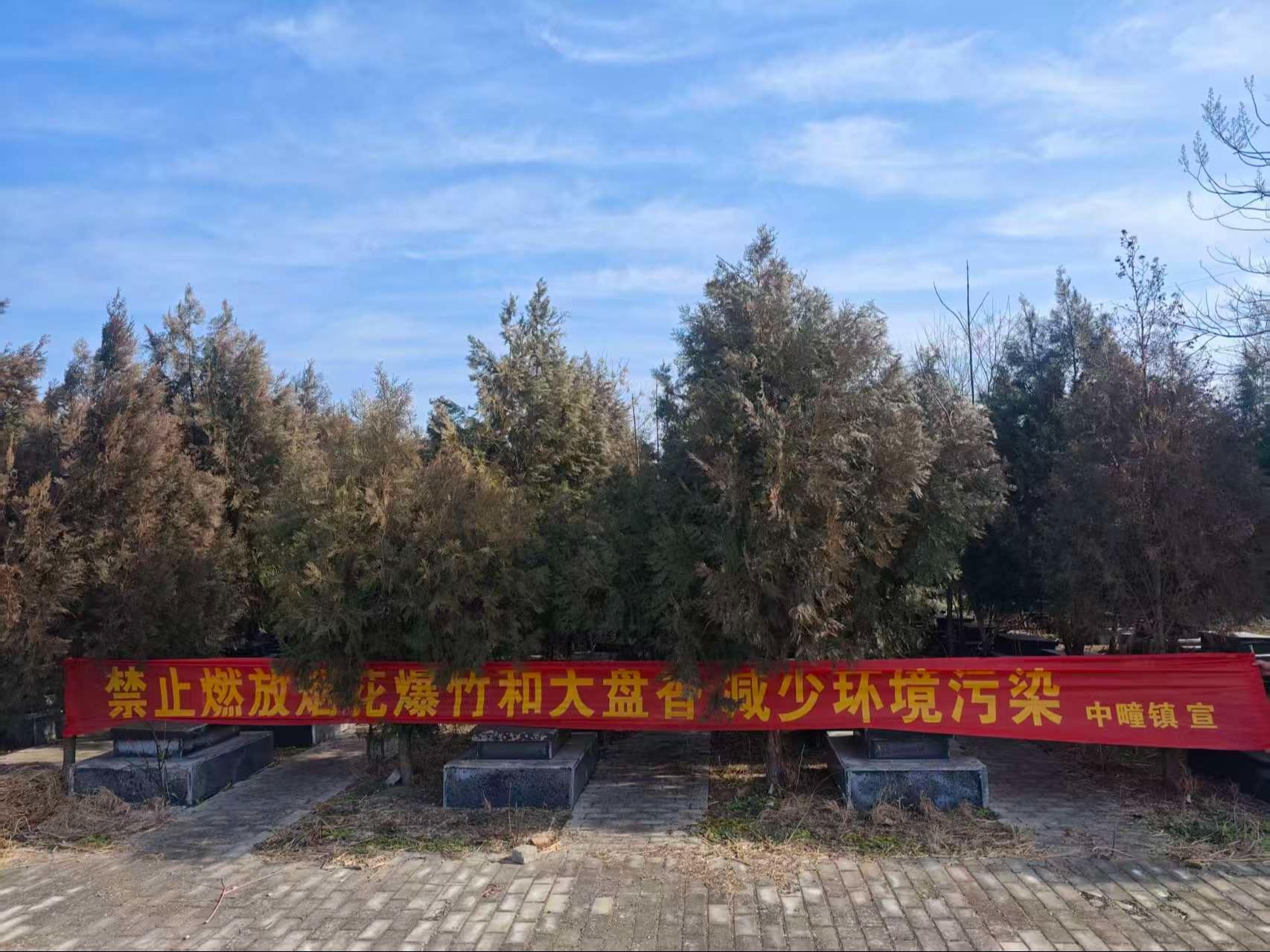 利辛县中疃镇公益性墓地