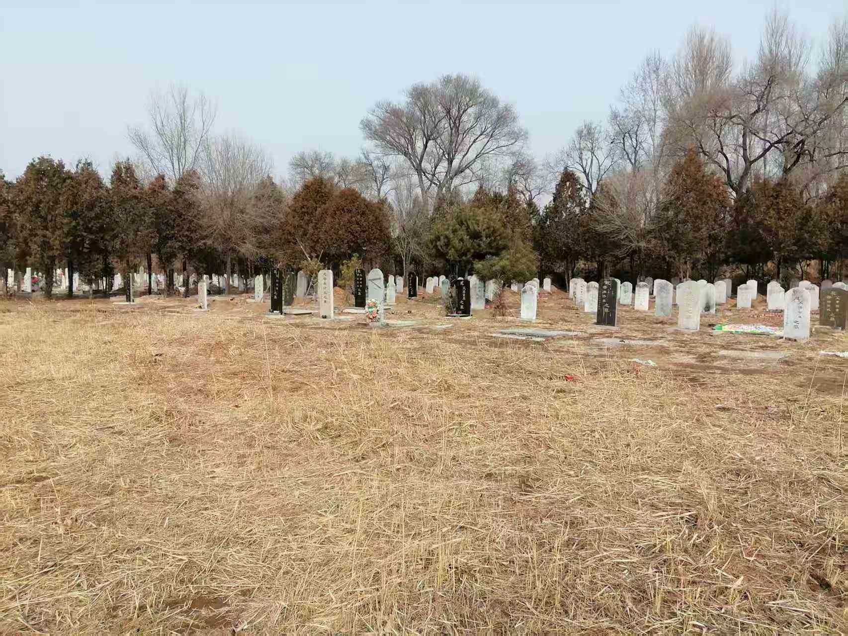 北京市延庆区沈家营镇曹官营村公益性公墓园区图片