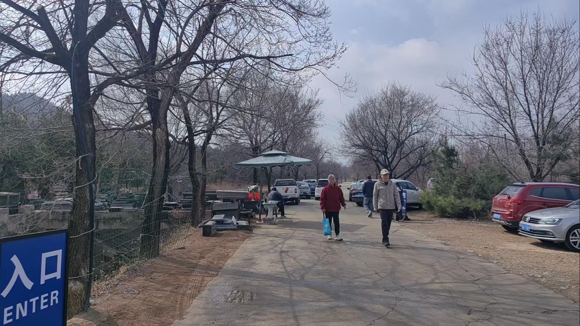 大榆树镇小泥河公益性公墓园区图片