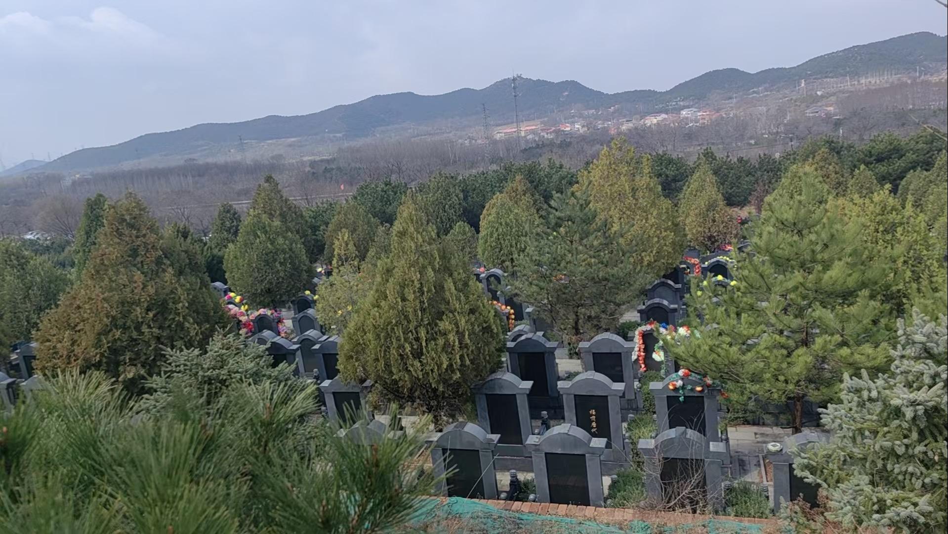 大榆树镇小泥河公益性公墓园区图片