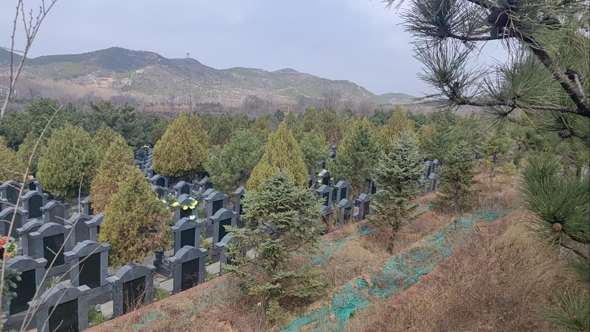 大榆树镇小泥河公益性公墓园区图片