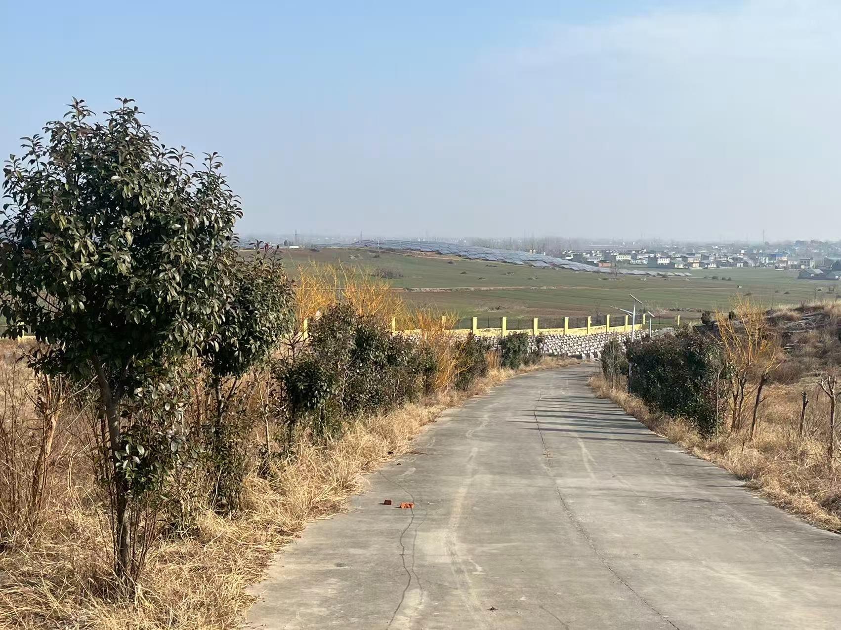 灵璧县娄庄镇公益性公墓园区图片
