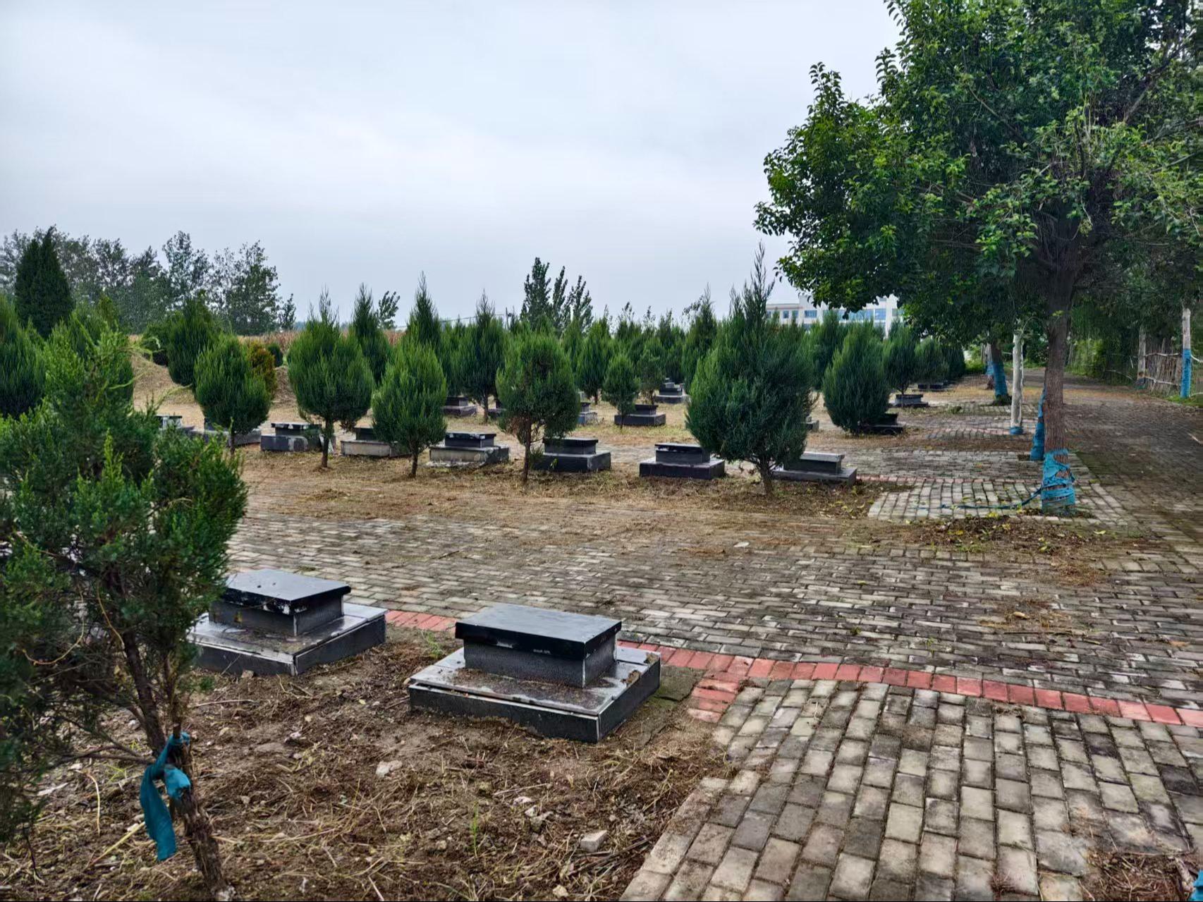 利辛县永兴镇公益性墓地园区图片