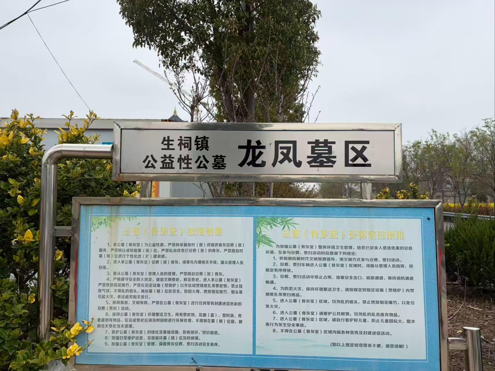 金星村龙凤公墓园区图片