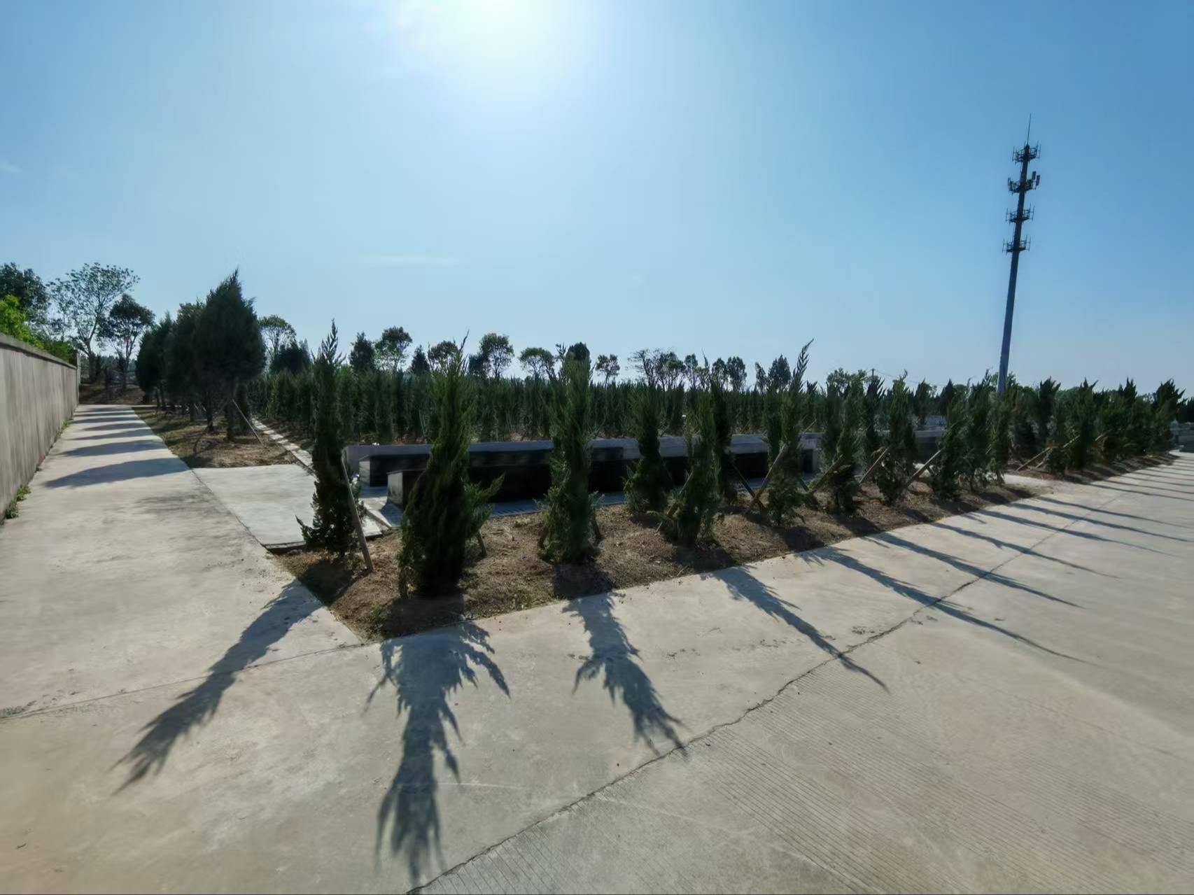 龙潭公墓园区图片