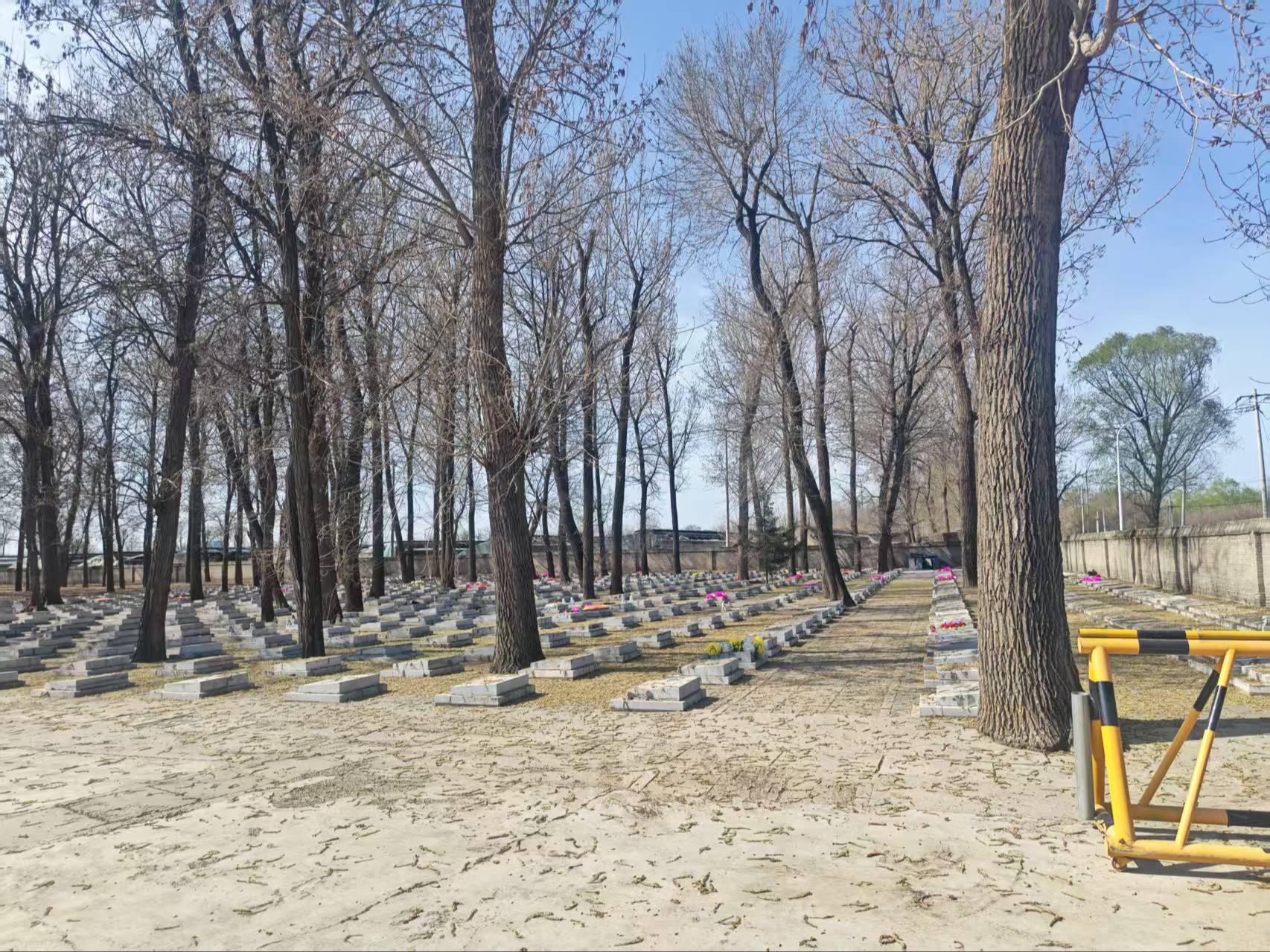 李桥镇天河公益性公墓园区图片