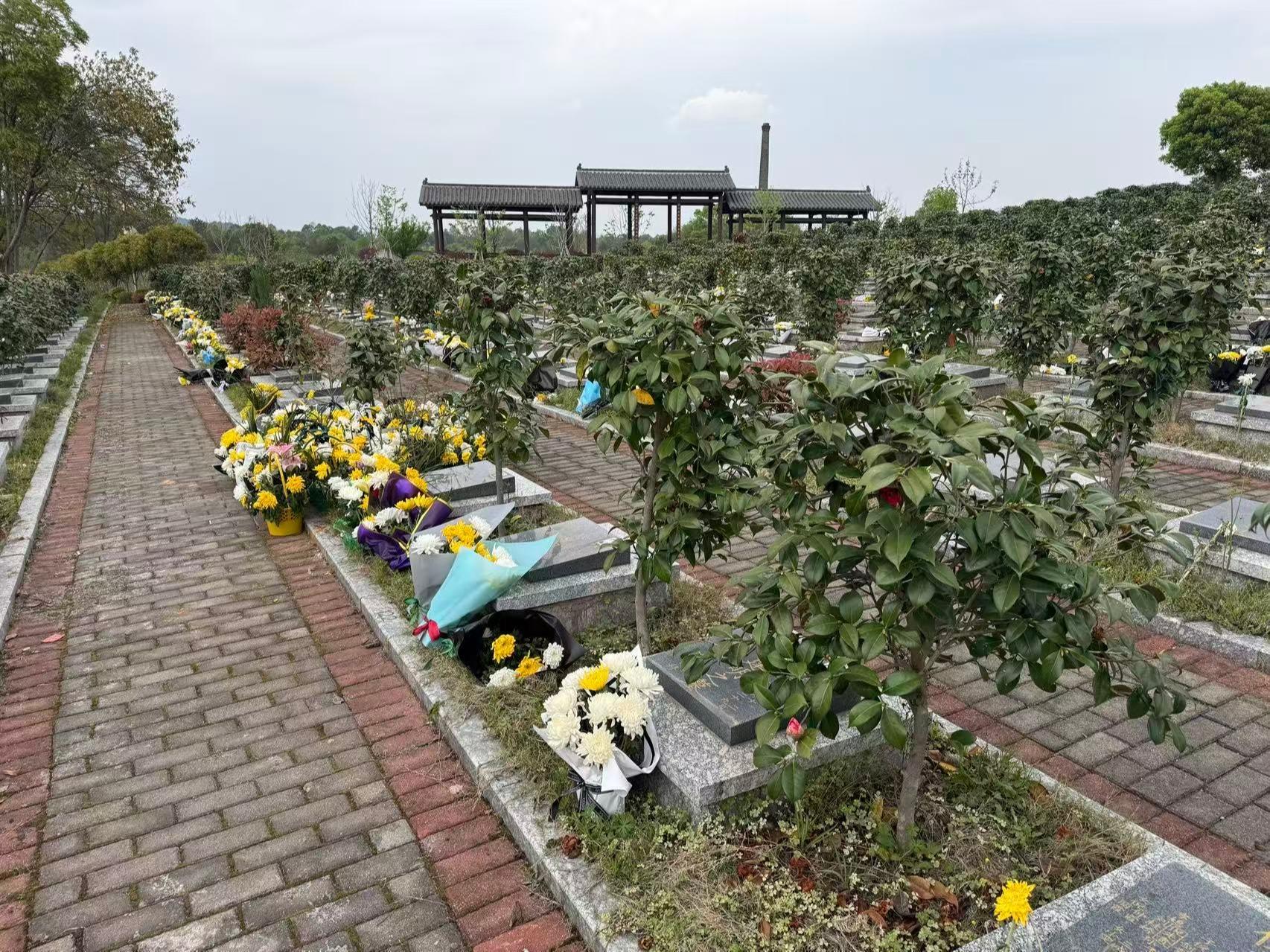 鹰潭市余江区城市公益性公墓园区图片