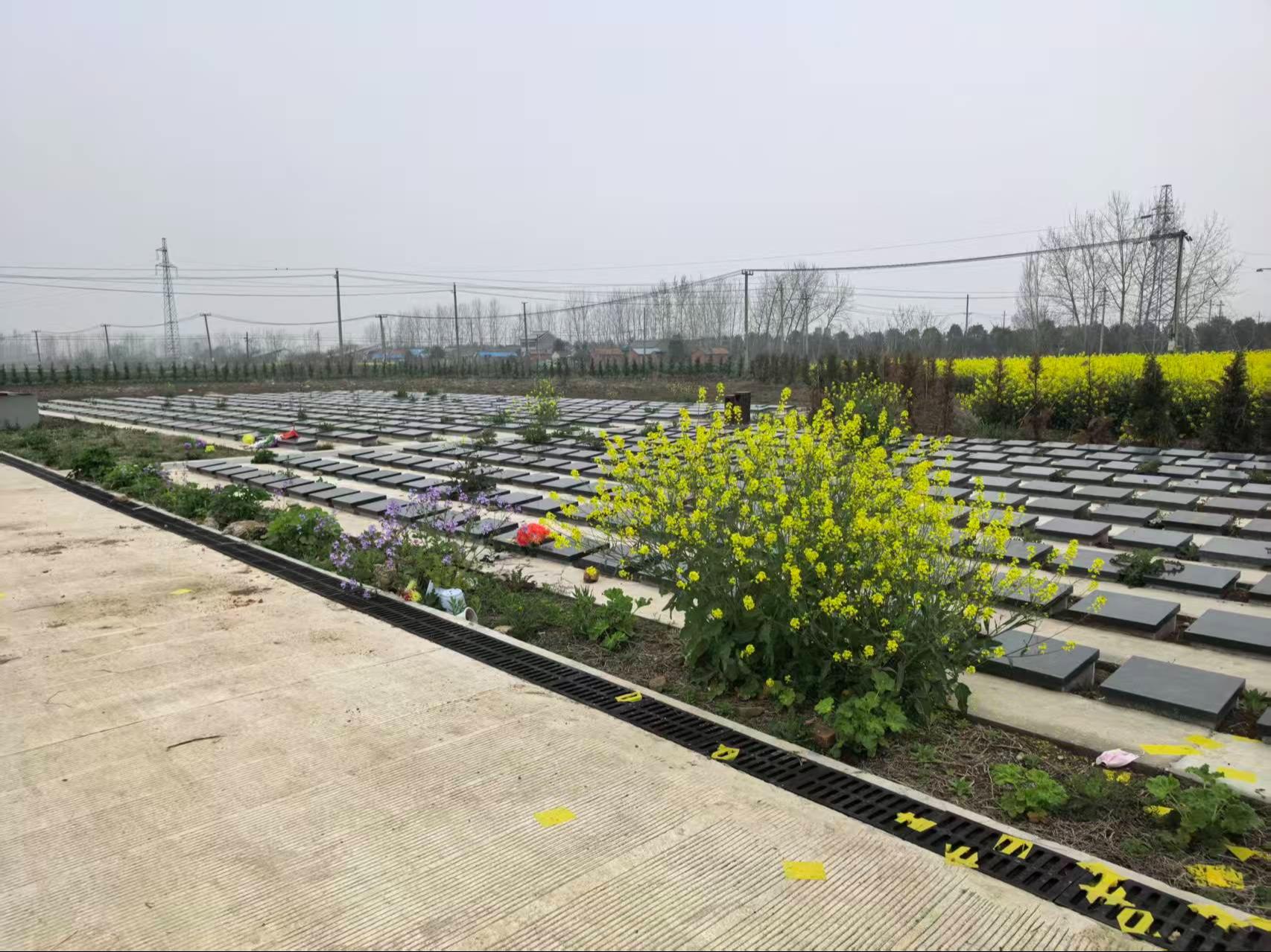 东双沟镇公益性公墓园区图片
