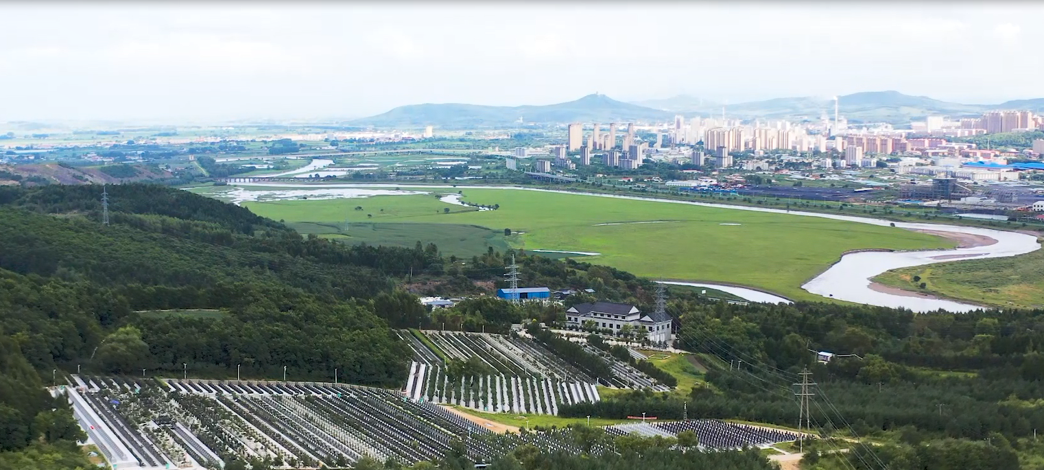 鸡西市四龙山公墓有限公司园区图片