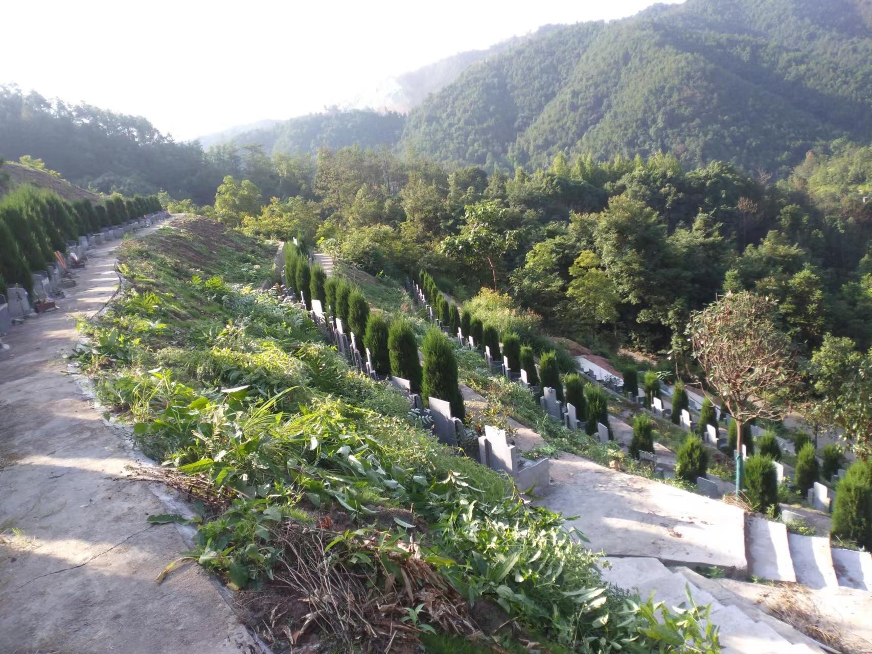 江西省赣州市赣县区江口镇樟木坑公墓园区图片