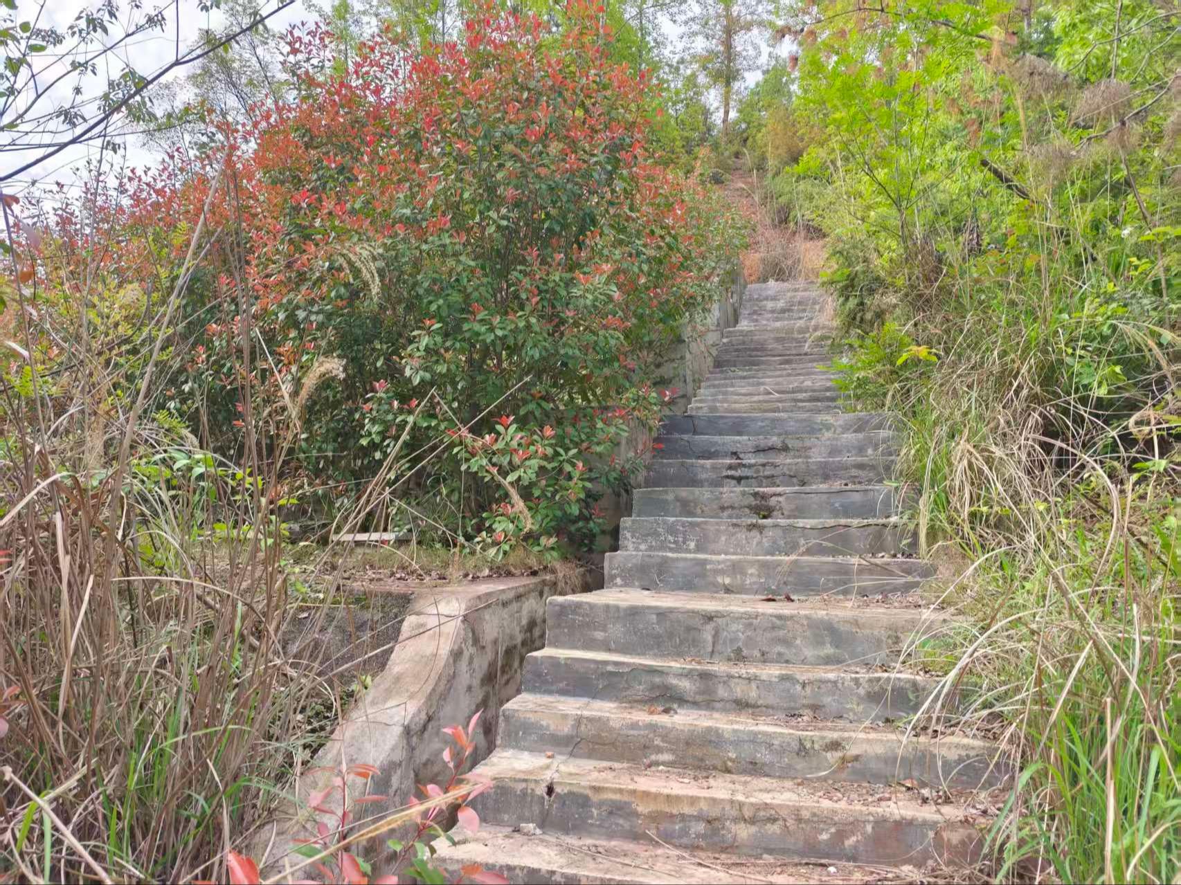 吉埠镇大溪村公墓园区图片