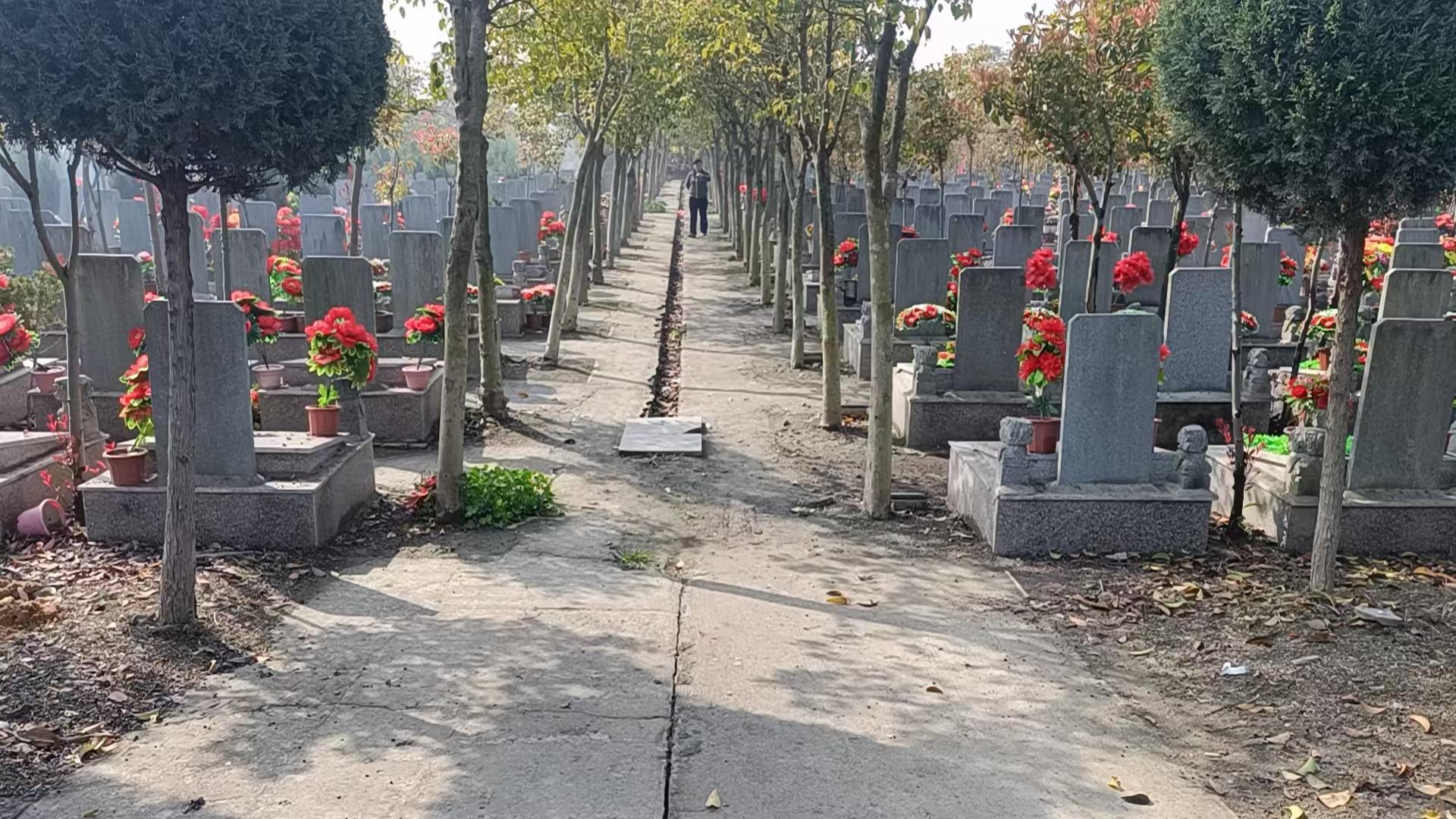 盐都区盐龙街道黄刘公墓园区图片