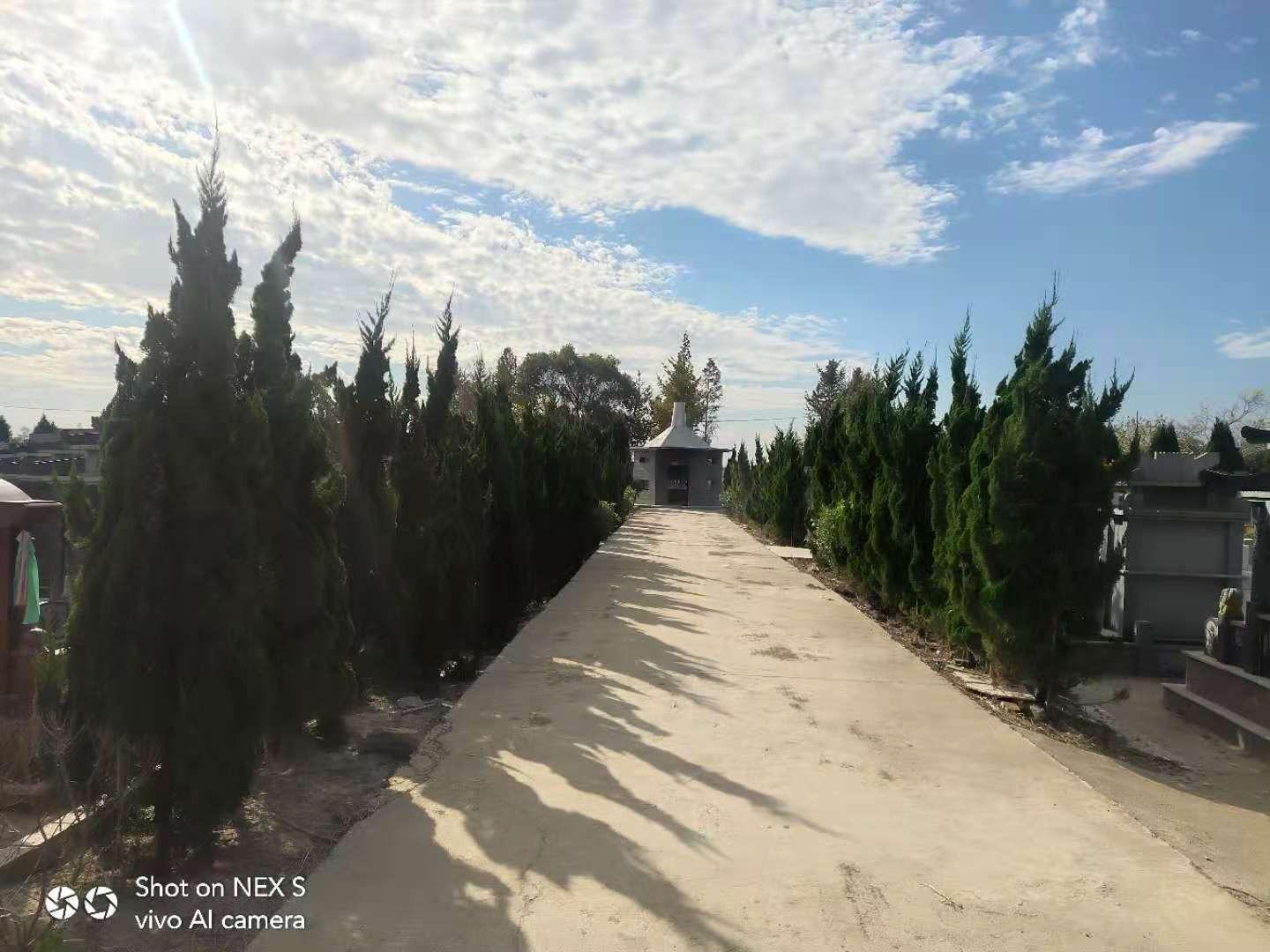 江苏省盐城市东台市高新区钱陈公益性公墓园区图片