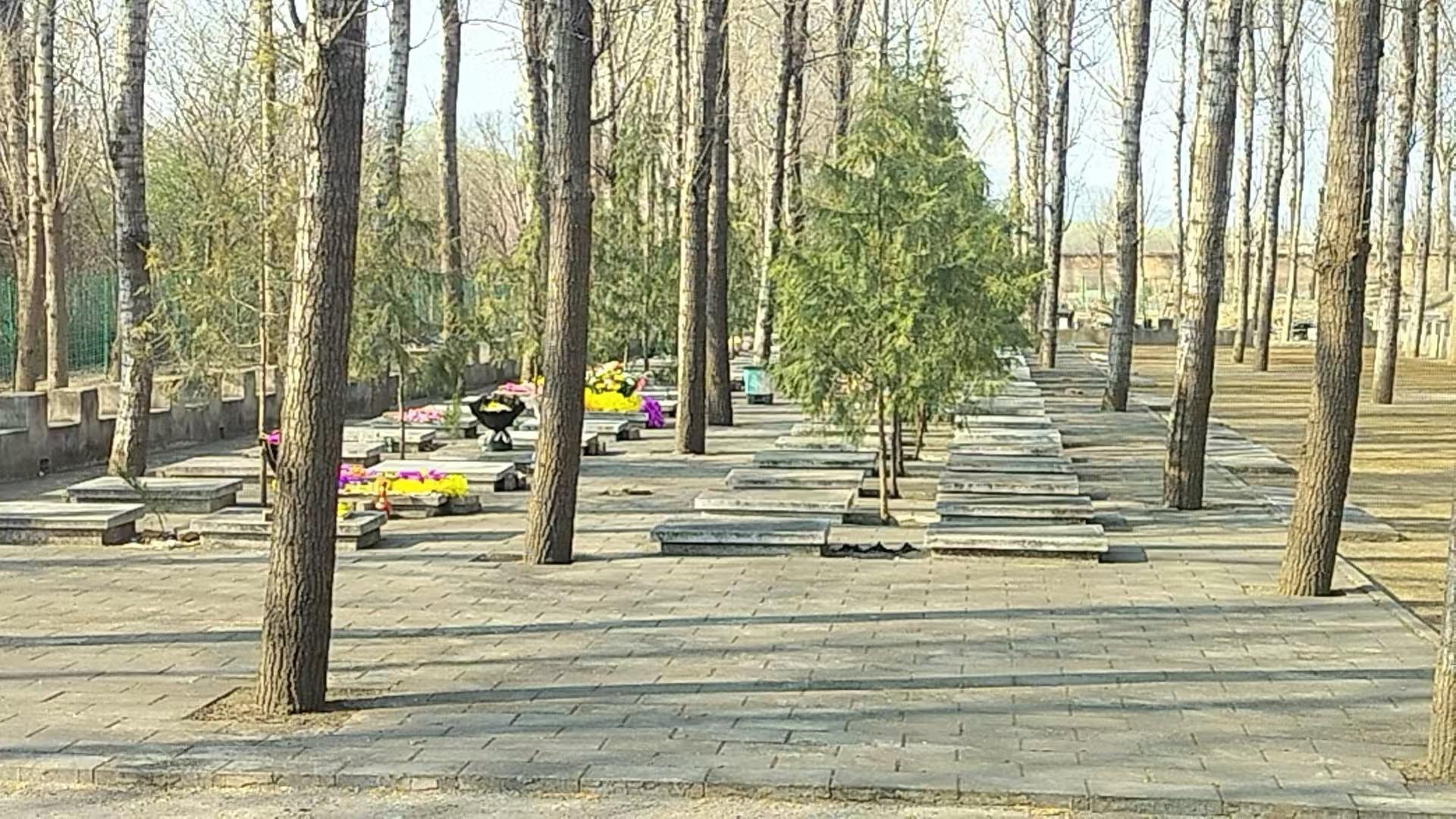 南石槽村公益性公墓园区图片