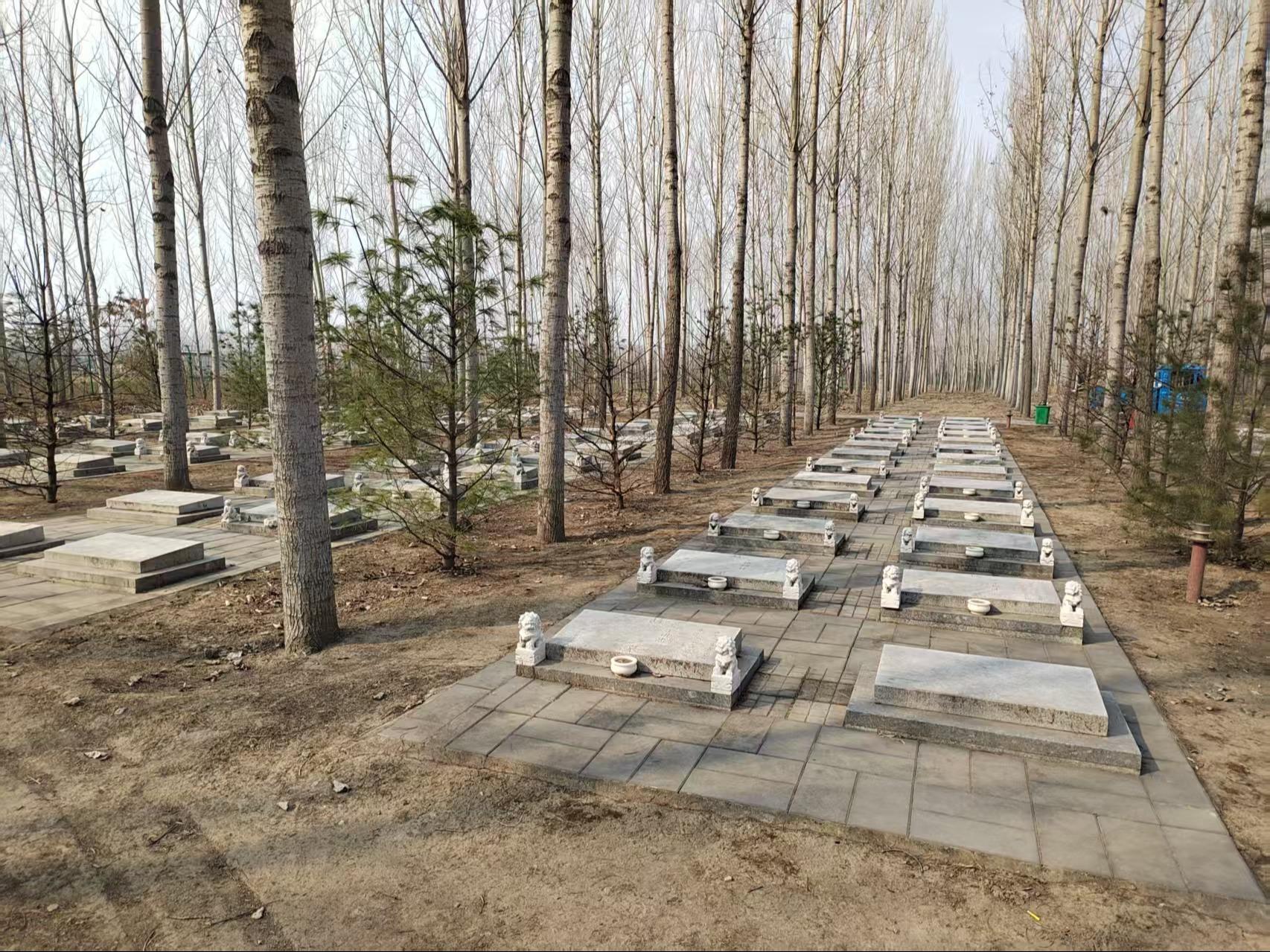 陈家坨村公益性公墓园区图片