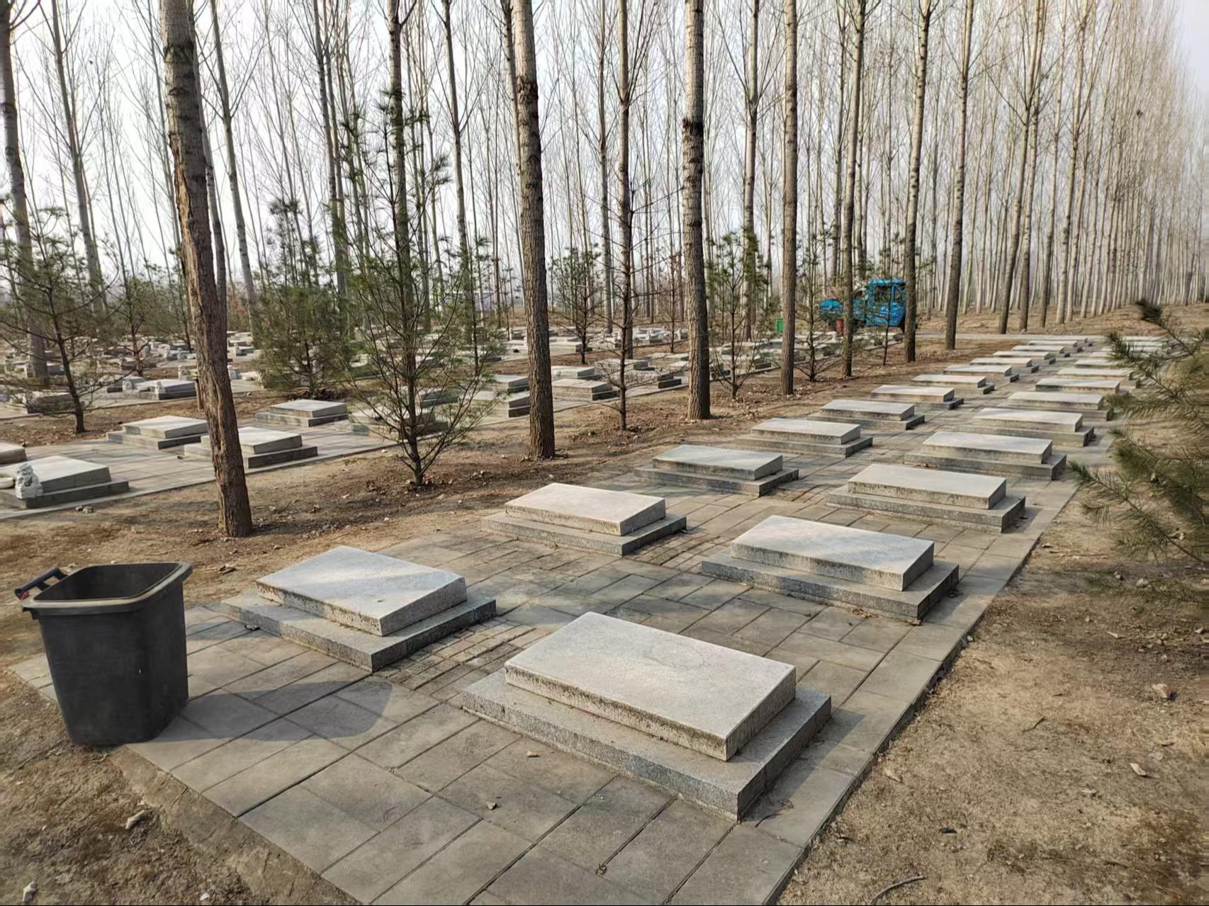 陈家坨村公益性公墓园区图片