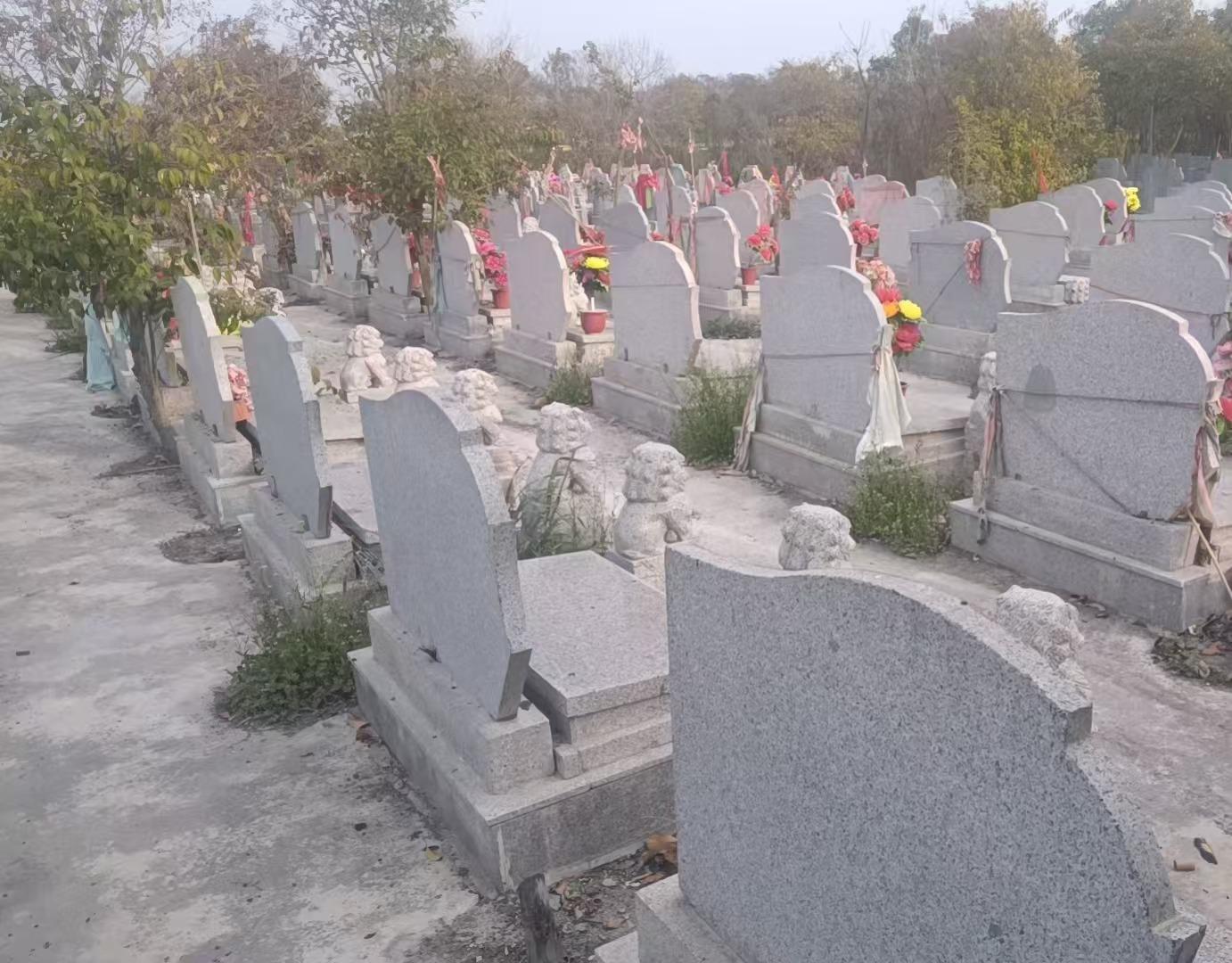 盐城市盐都区尚庄镇民胜公益性公墓园区图片