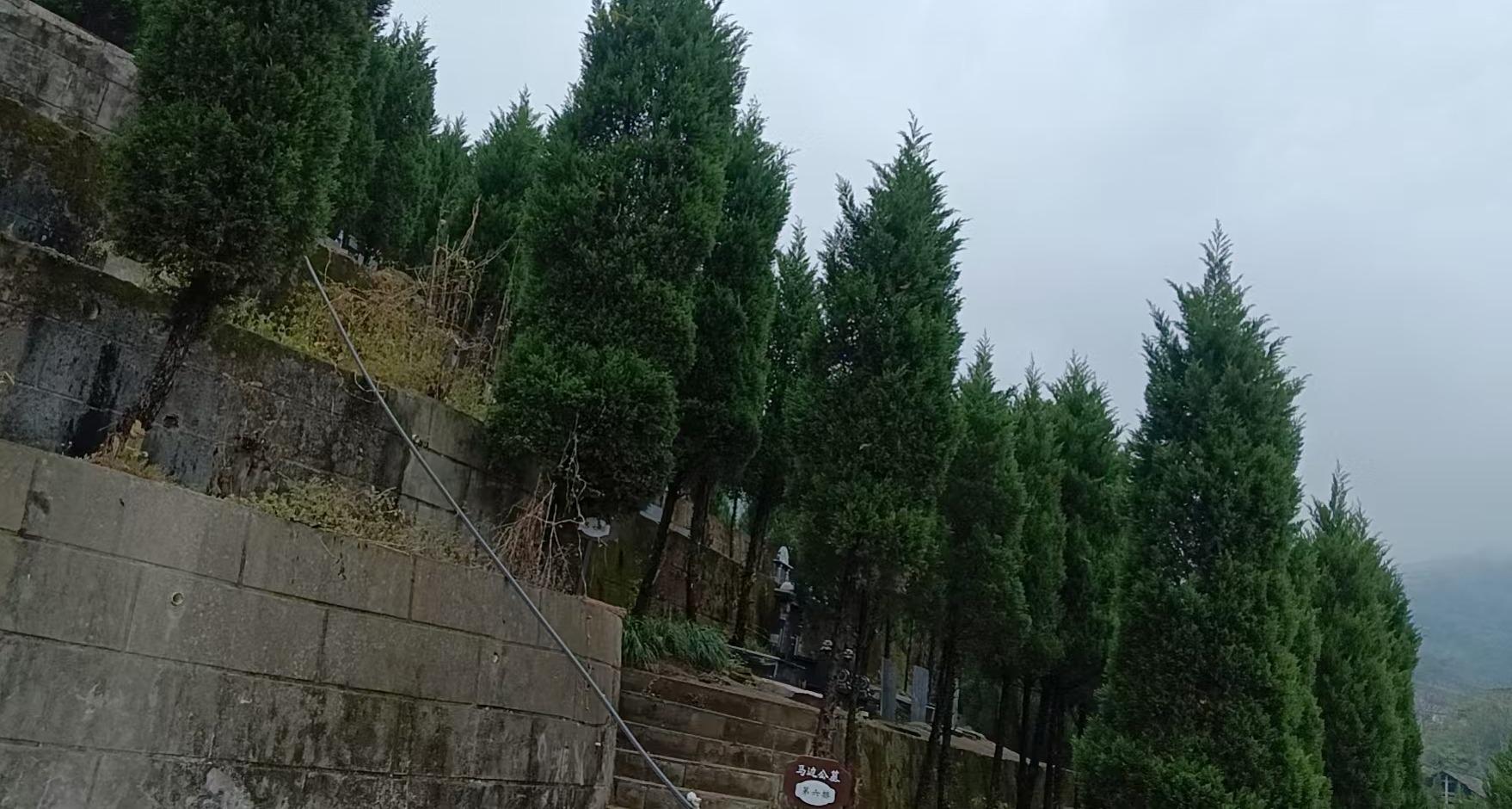 马边彝族自治县公墓园区图片