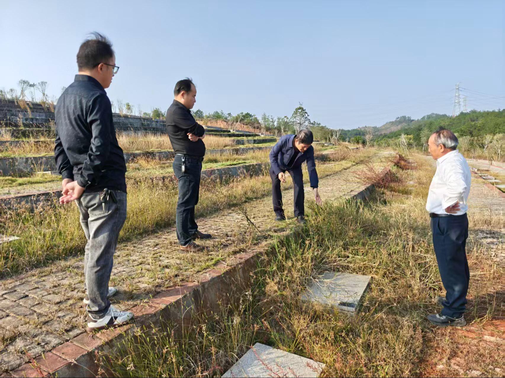 贵溪市流口镇永安园园区图片