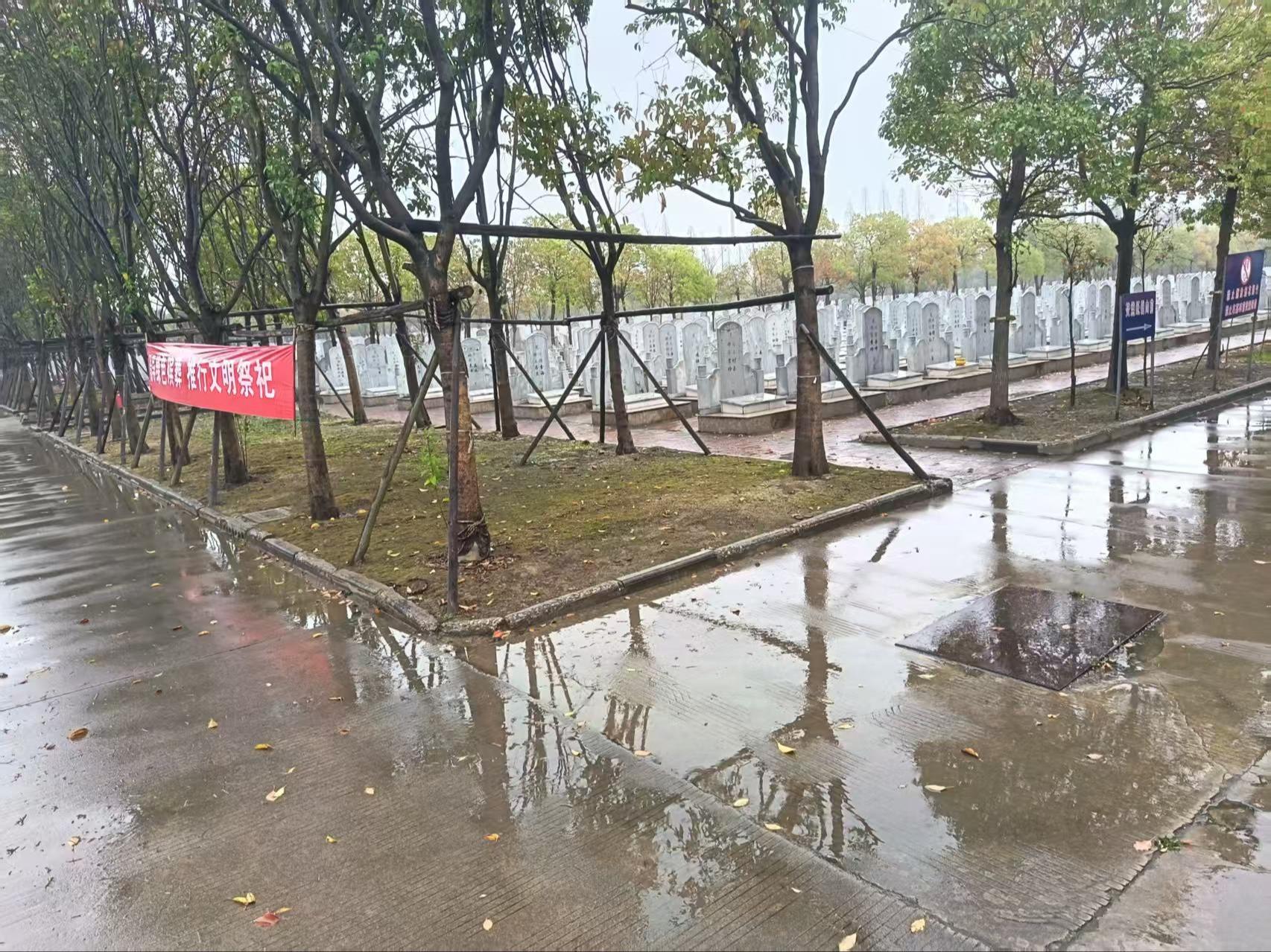 京泰路街道许郑墓区园区图片