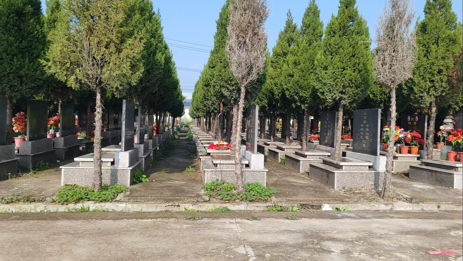 盐城市盐都区龙冈镇兴福公墓园区图片