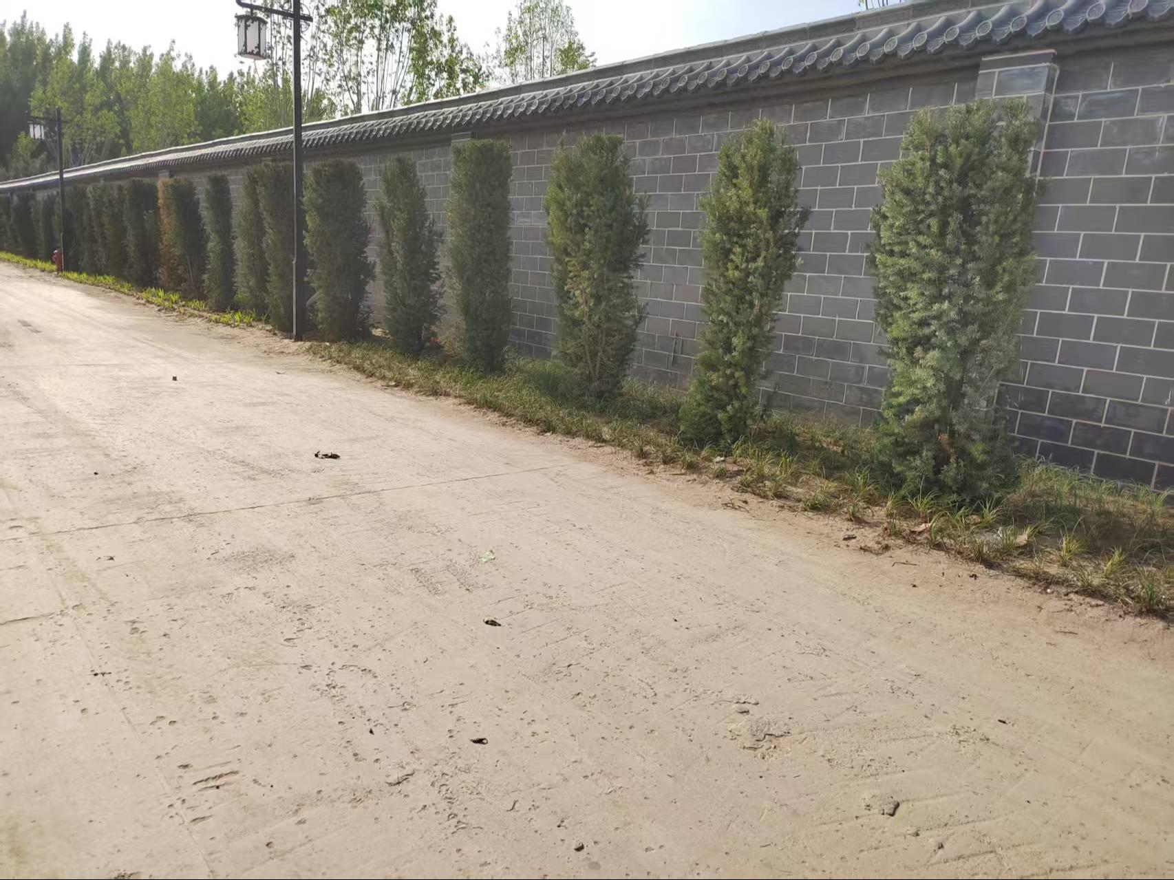 民权县城市公益性公墓园区图片